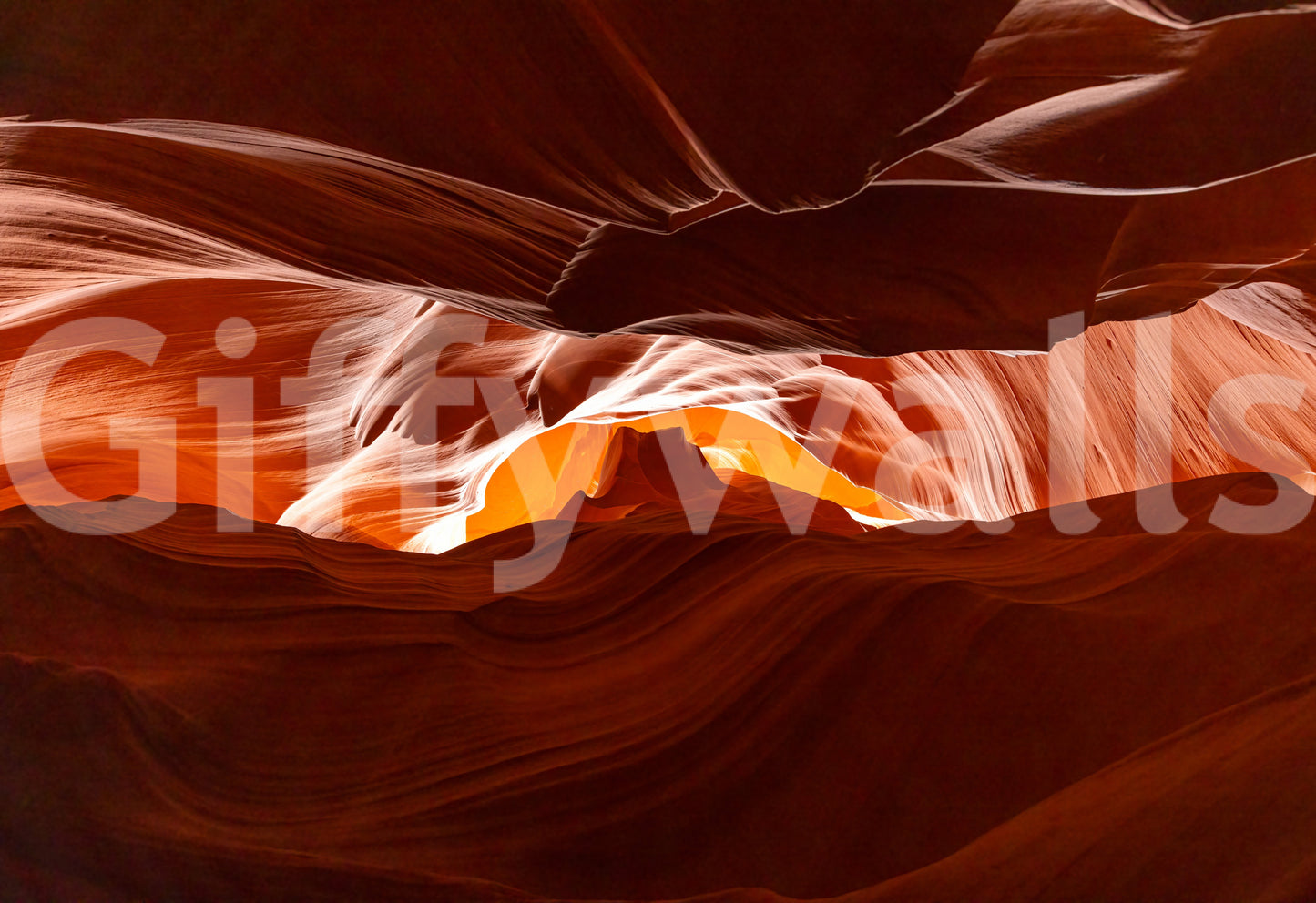 Antelope's Embrace Wall Mural