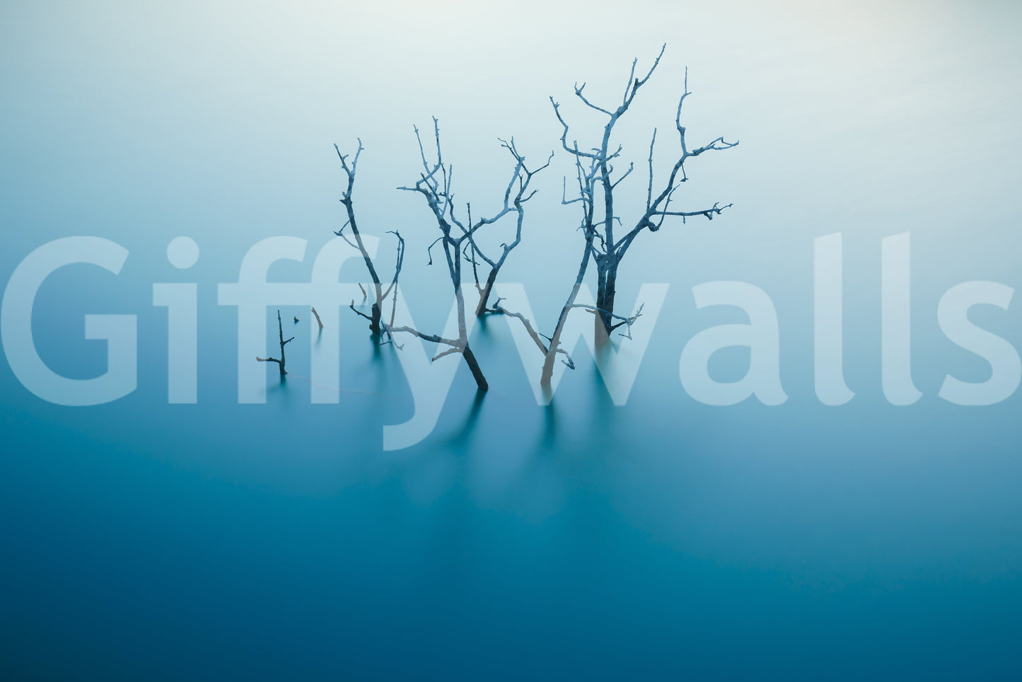 Aqua Reflections Wall Mural -2323746