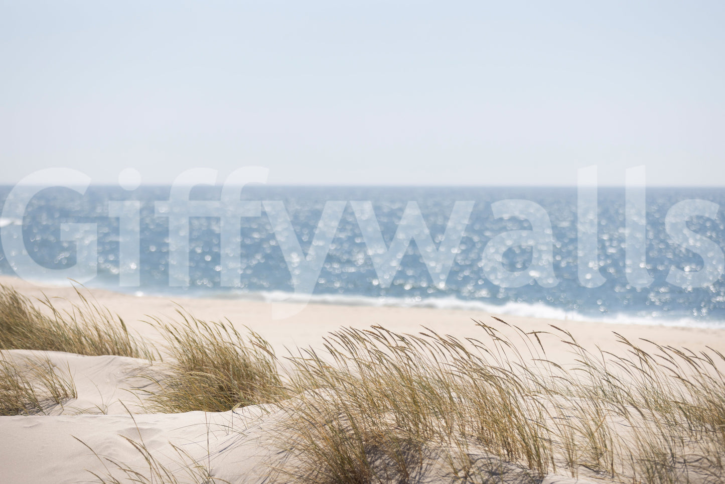 Beach Grass Hues Wall Mural -2670052