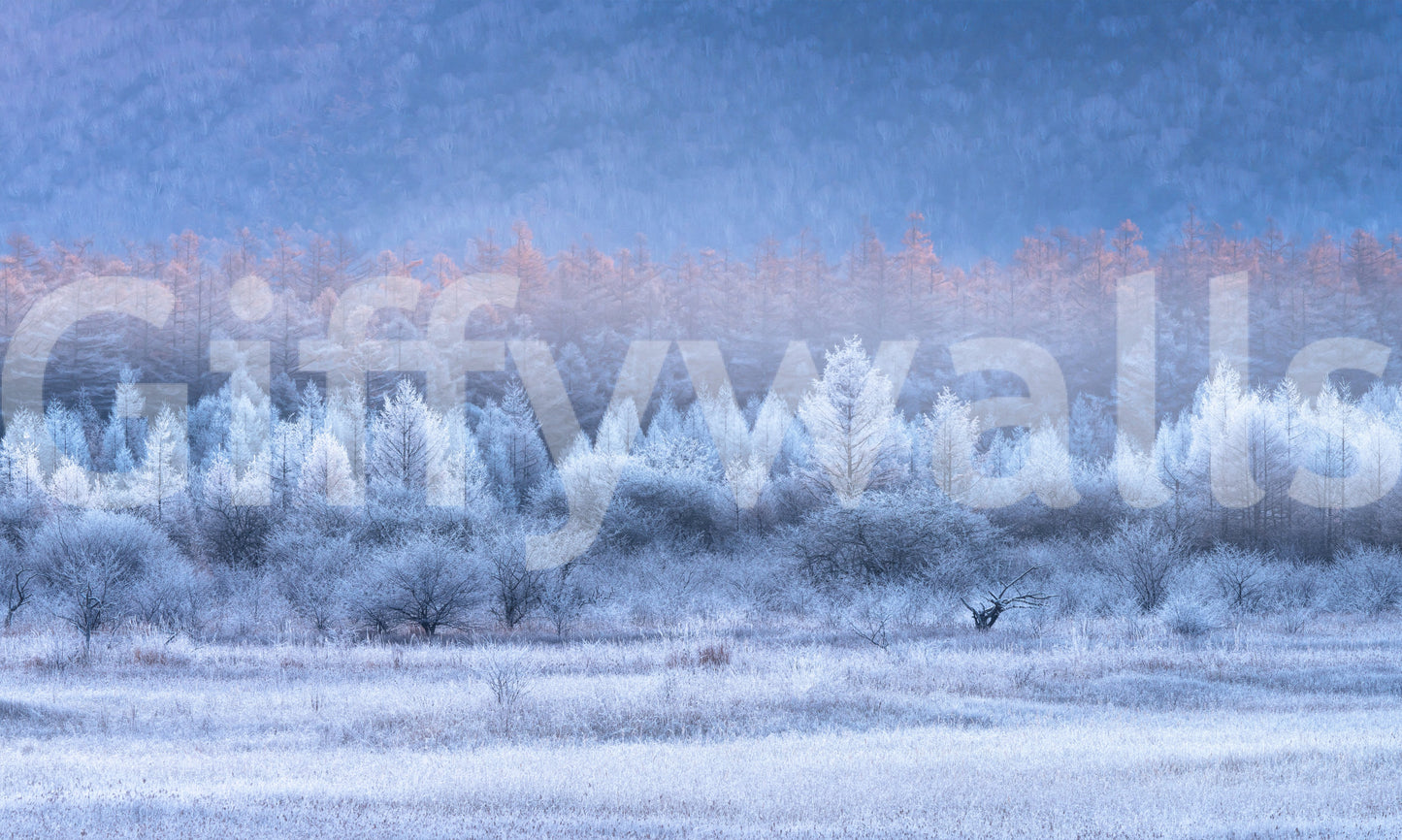 Frozen Dawn Vista Wall Mural -2593096