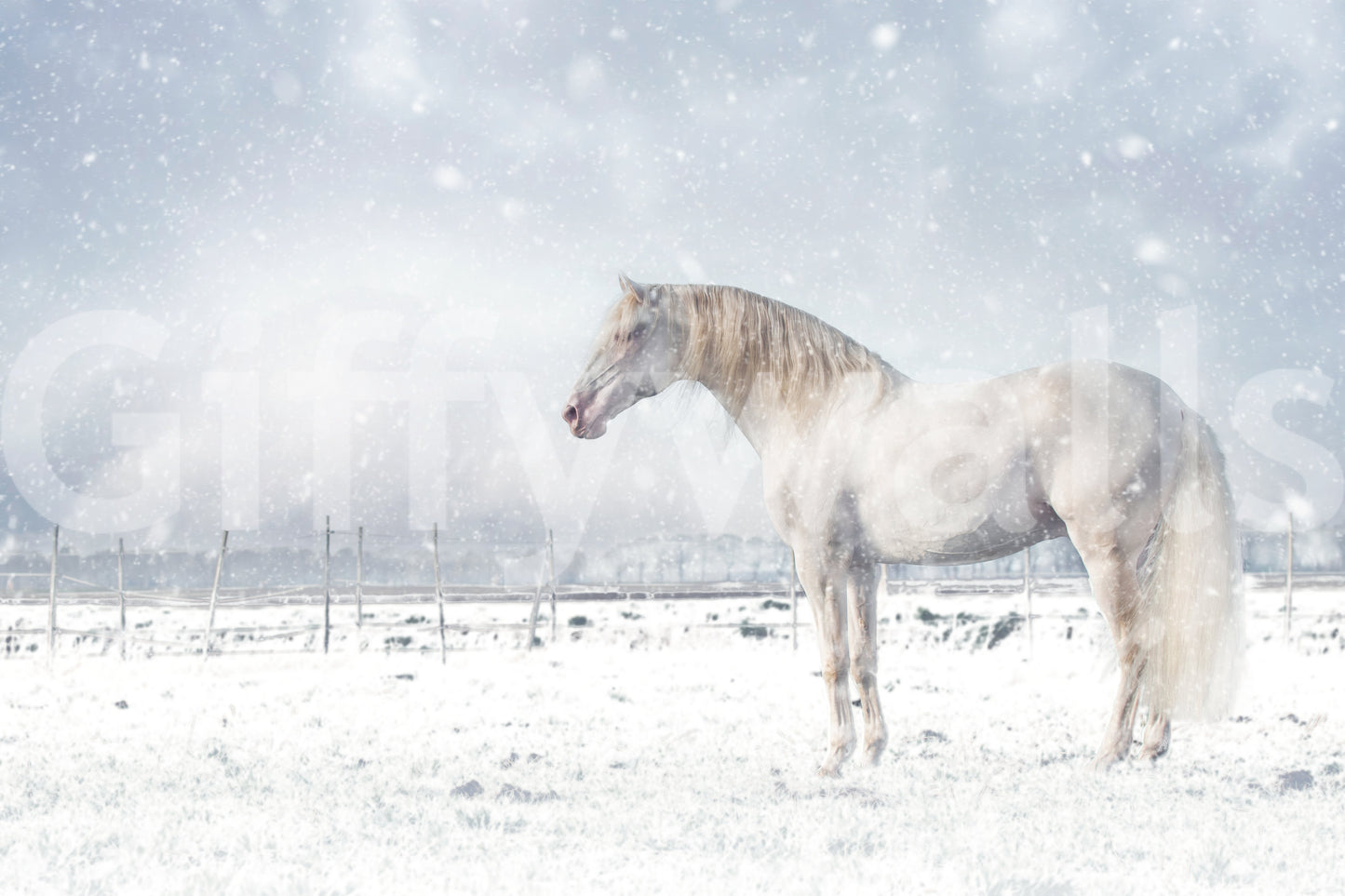 Snowdrift Horse Wall Mural -2398894