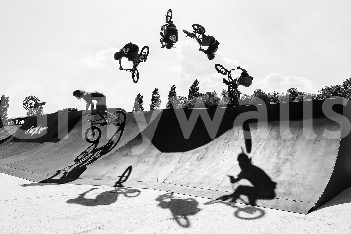 Monochrome BMX: Shadow & Style Wall Mural -2545318
