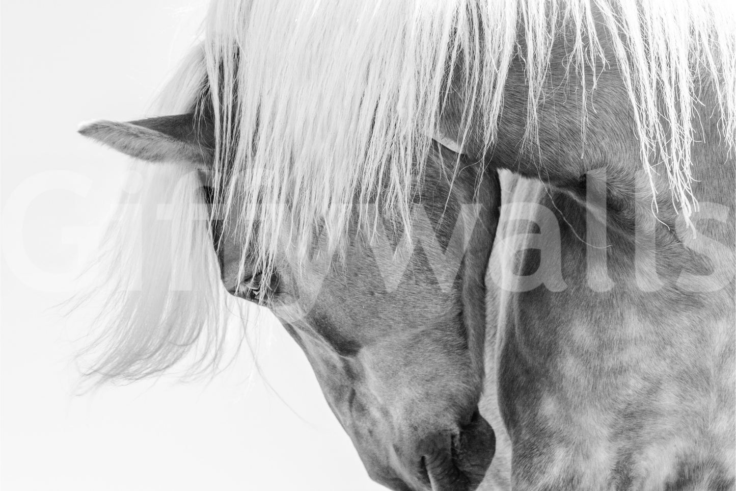 Whispers of Grace Wall Mural -2253356