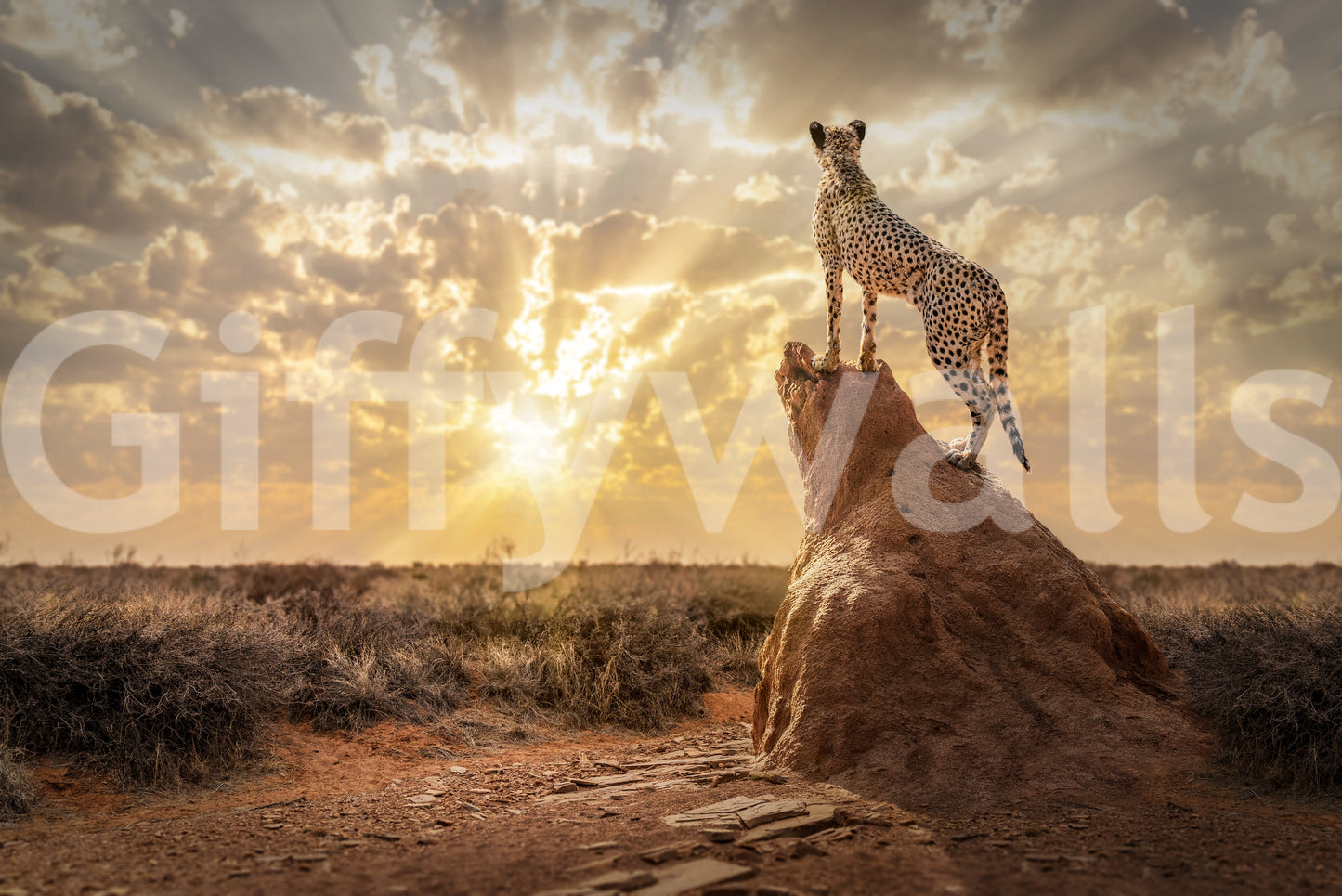 Cheetah's Domain Wall Mural