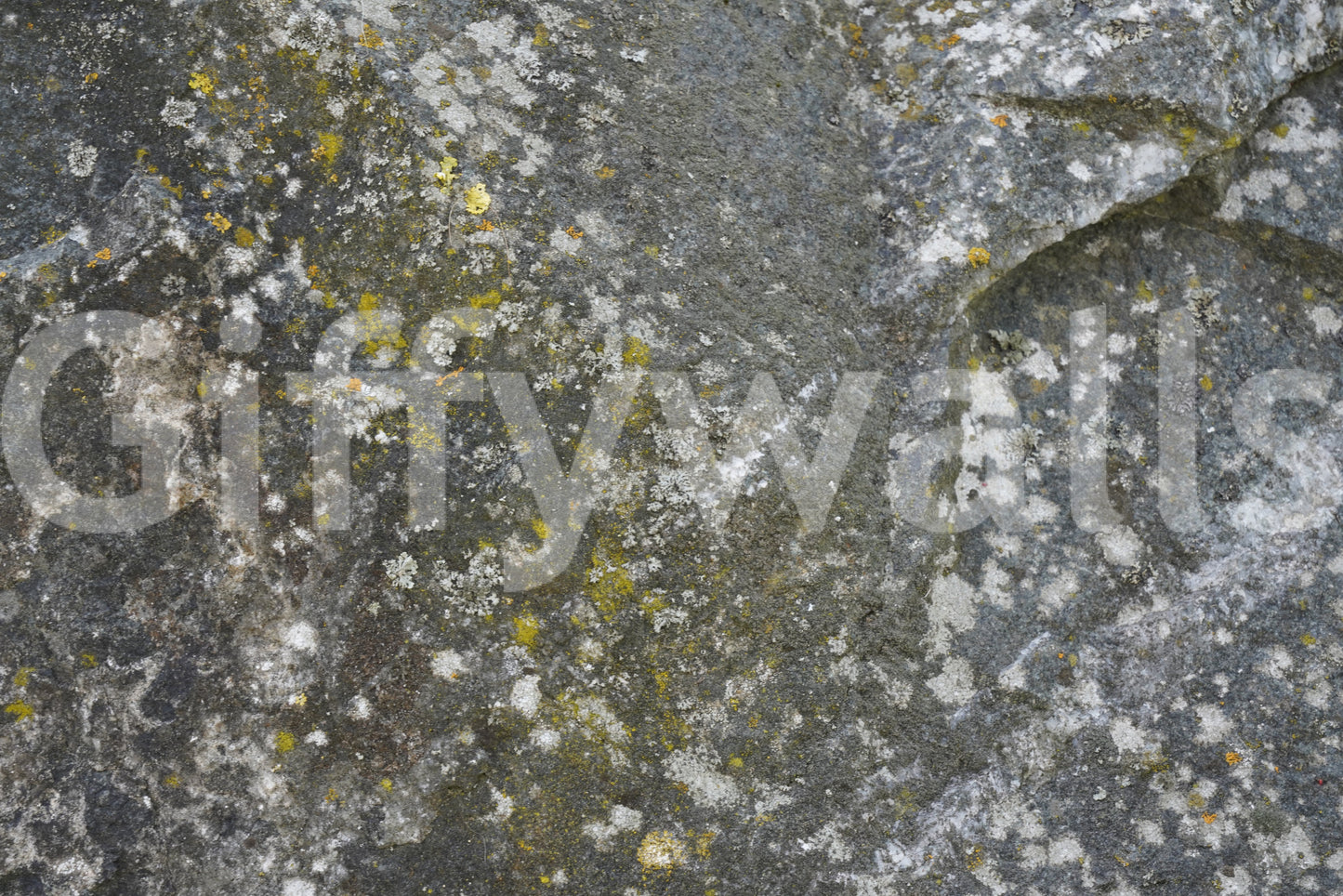 Stone Texture Wall Mural — natural stone surface design bringing organic elegance to any space.