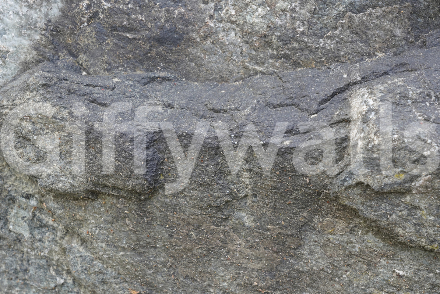 Granite Texture Wall Mural -2566611