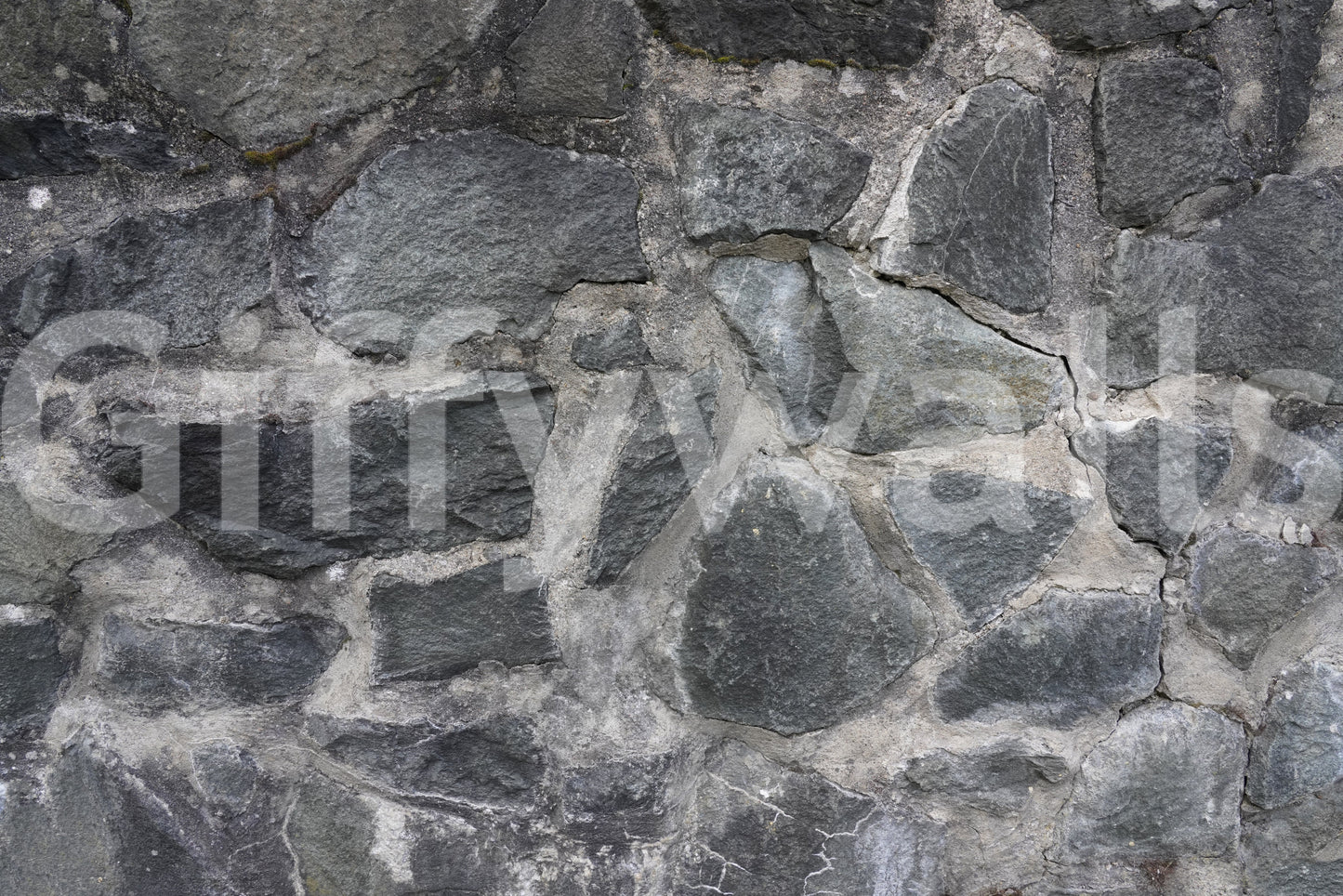 Stone Facade Wall Mural -2566587