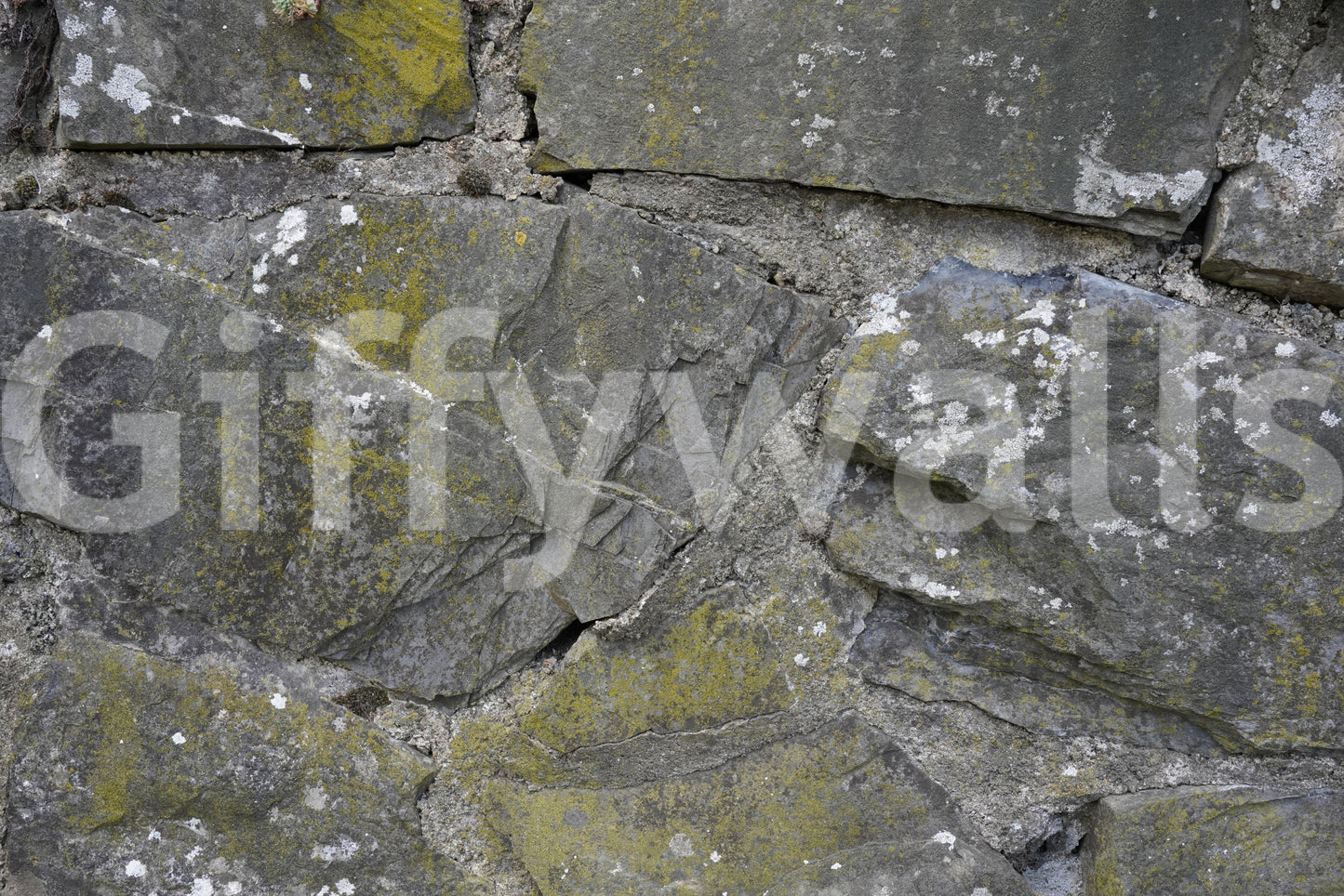 Cracked Stone Texture Wall Mural -2566627