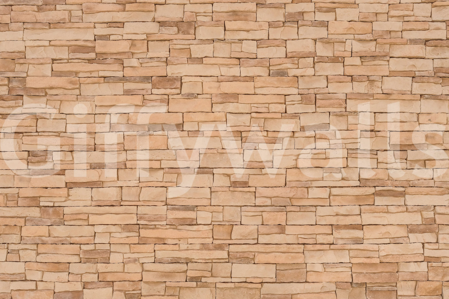 Rustic Stone Appeal Wall Mural -2308543