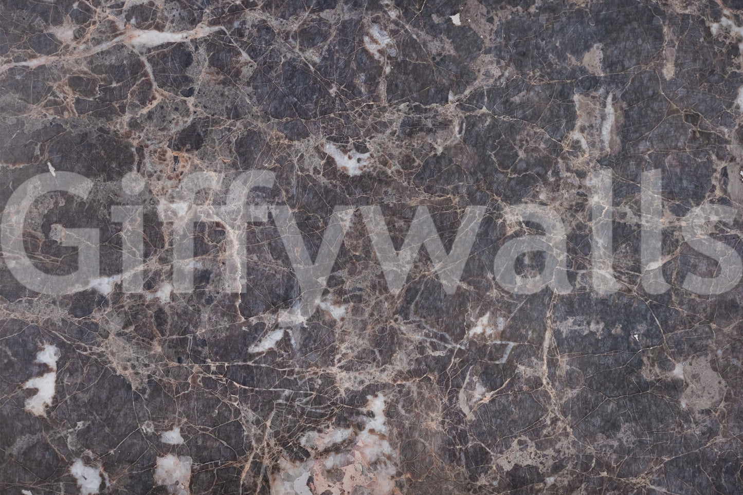 Elegance In Veins Wall Mural -2306794