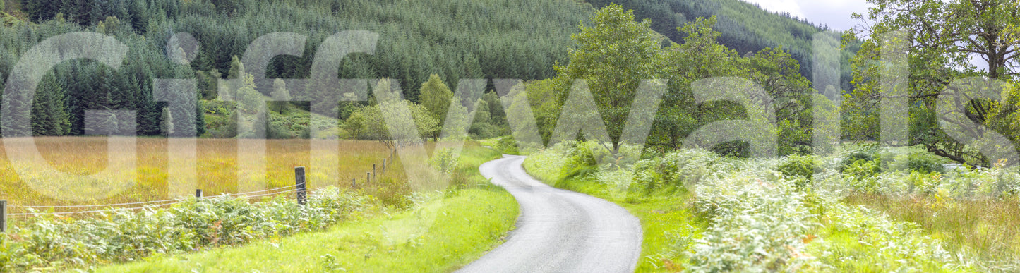 Wall mural depicting a quiet, open road traveling through a sunny valley. Winding Way.