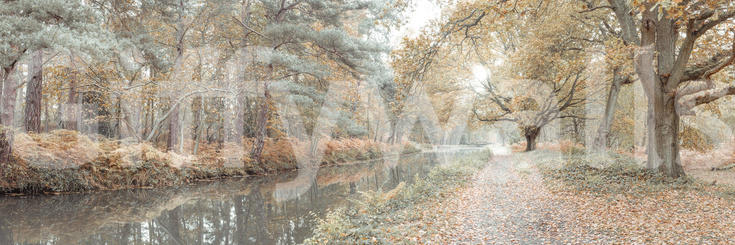 Scenic autumn landscape mural with a calm waterway bordered by tall trees.