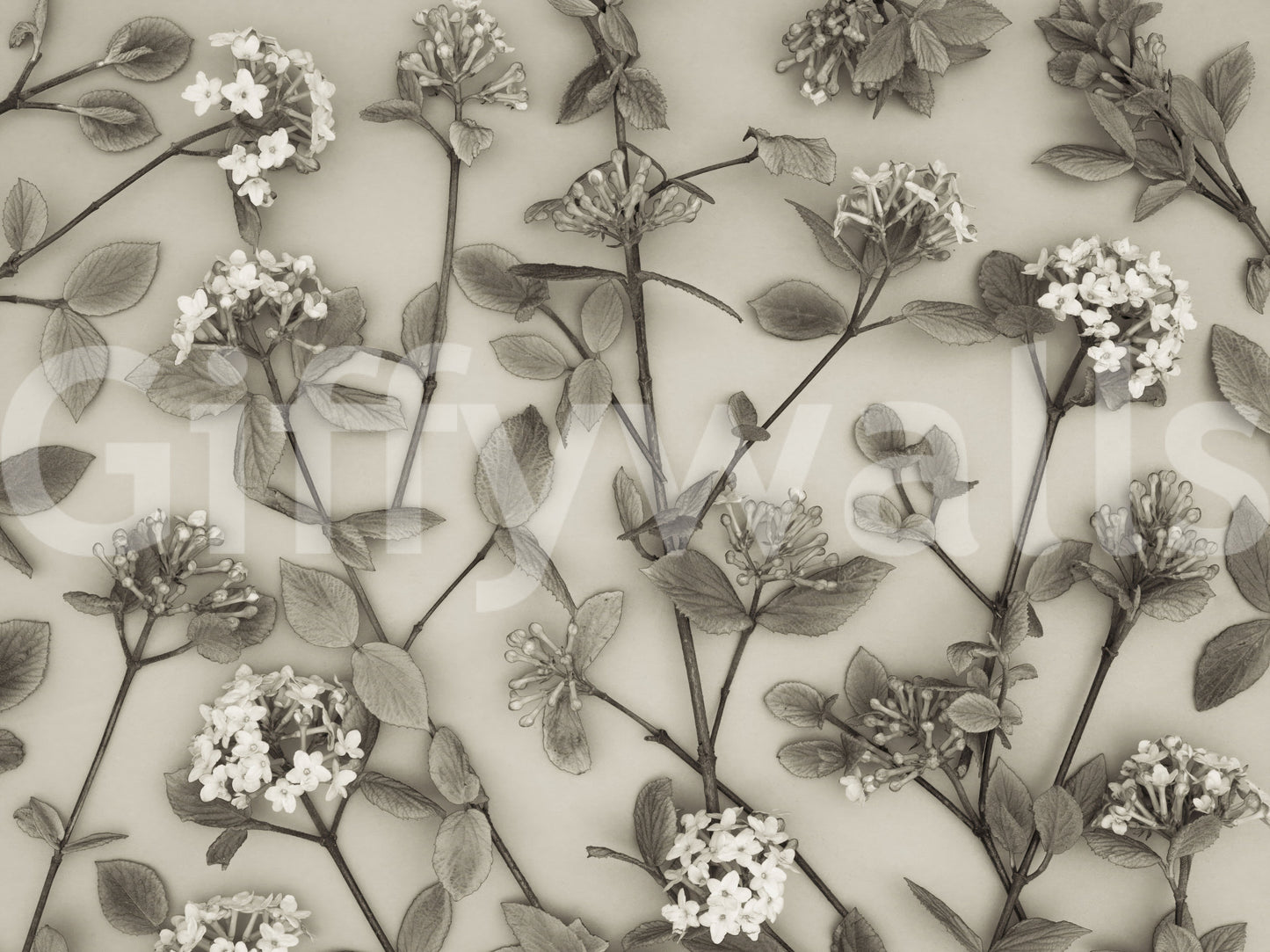 The wallpaper displays hand-drawn floral stems that create a peaceful and graceful spring atmosphere.