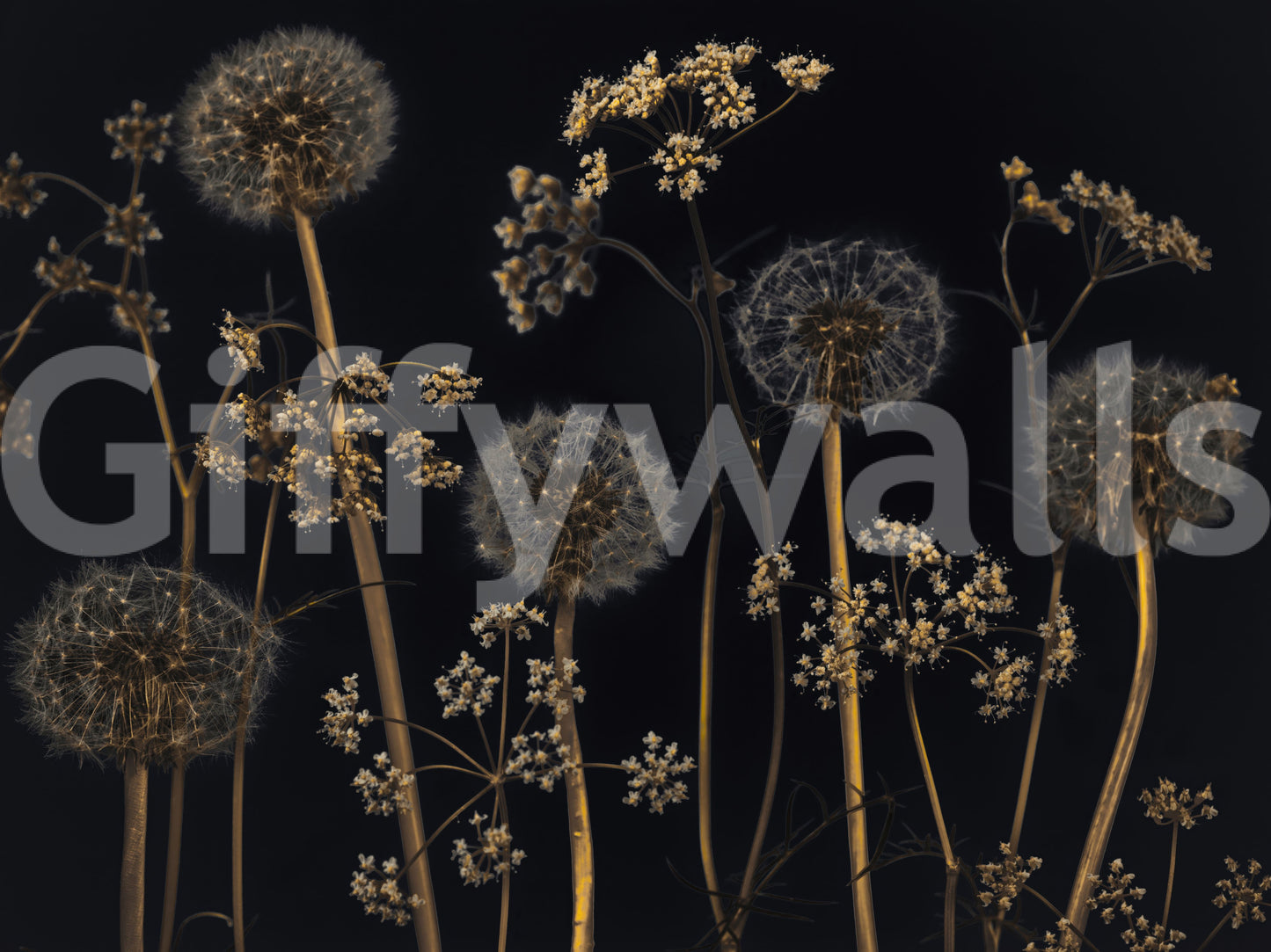 Sophisticated botanical wallpaper featuring dried wild stems and dandelion tufts against a dark background.