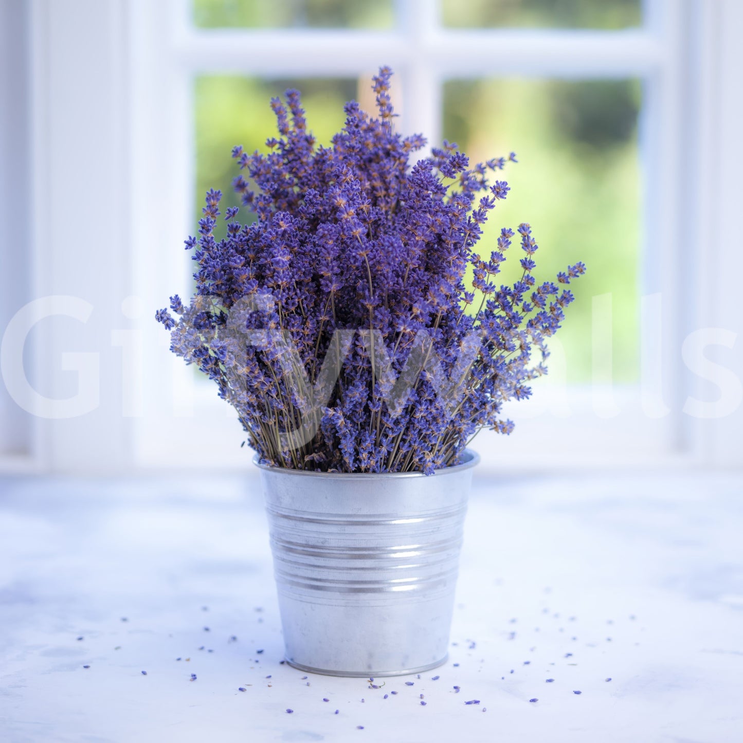 Natural aesthetic; beautiful purple plant in pot near sunny white window frame.