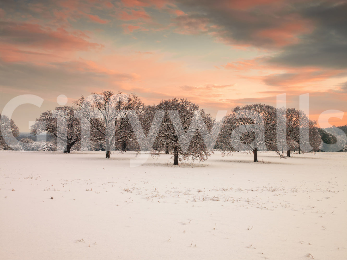 Dreamy Snow Covered Field wall wrap, frozen meadow, snow-dusted branches.