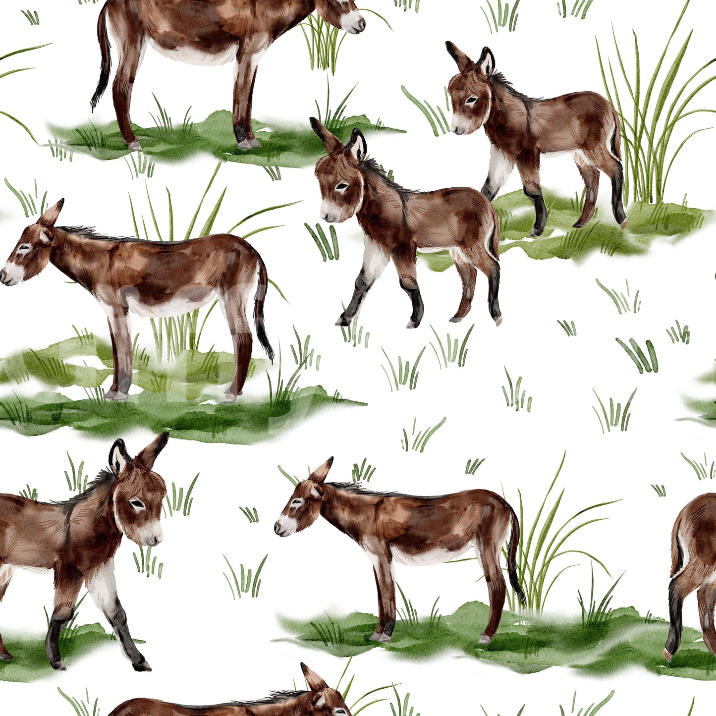 Watercolor Donkeys Wallpaper