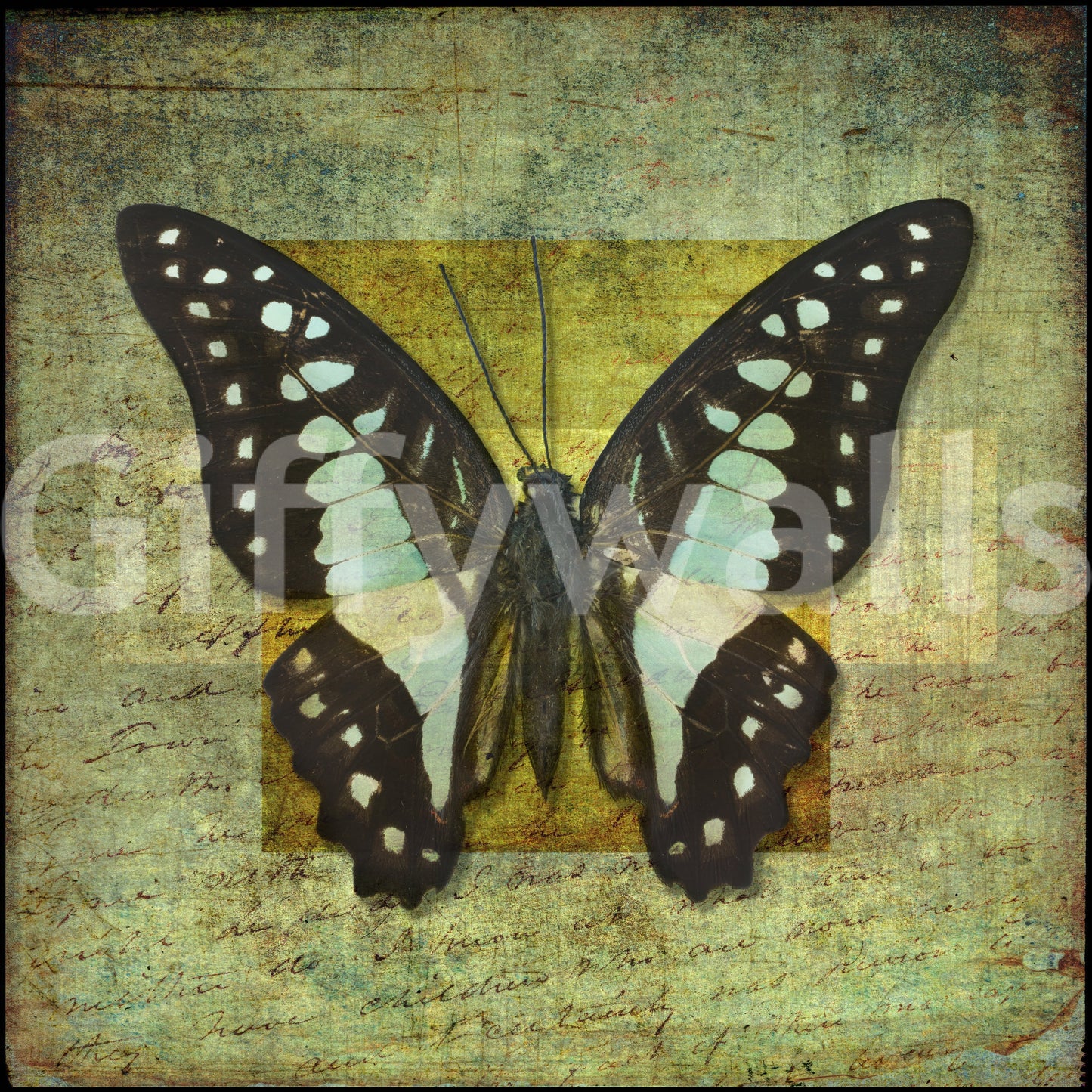 Gilded Butterfly wallpaper highlighting cyan spotted wings on distressed canvas backdrop