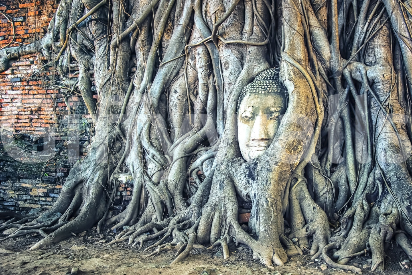 Timeless Harmony botanical embrace of antique masonry and carving.