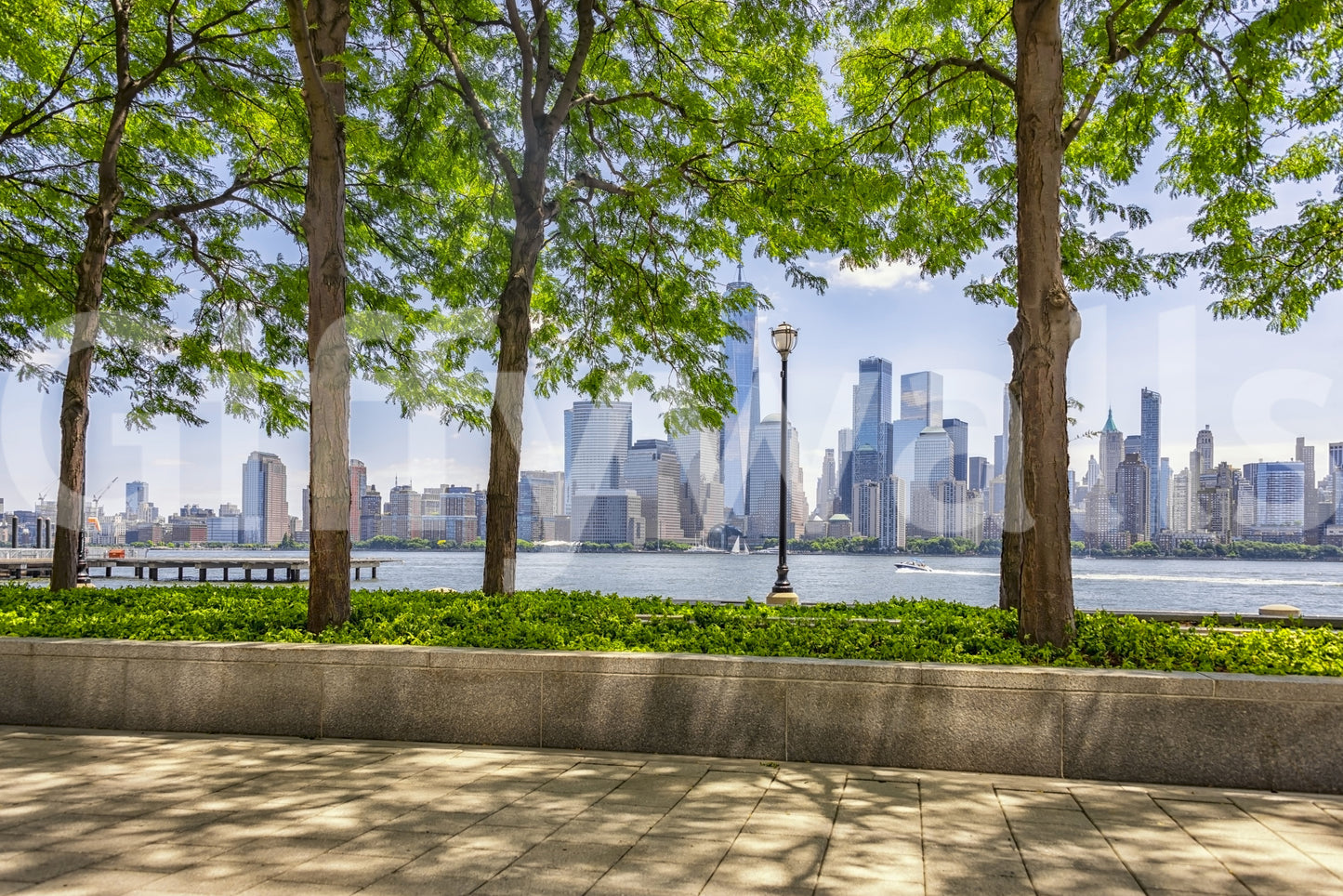 Urban Oasis View Wall Mural