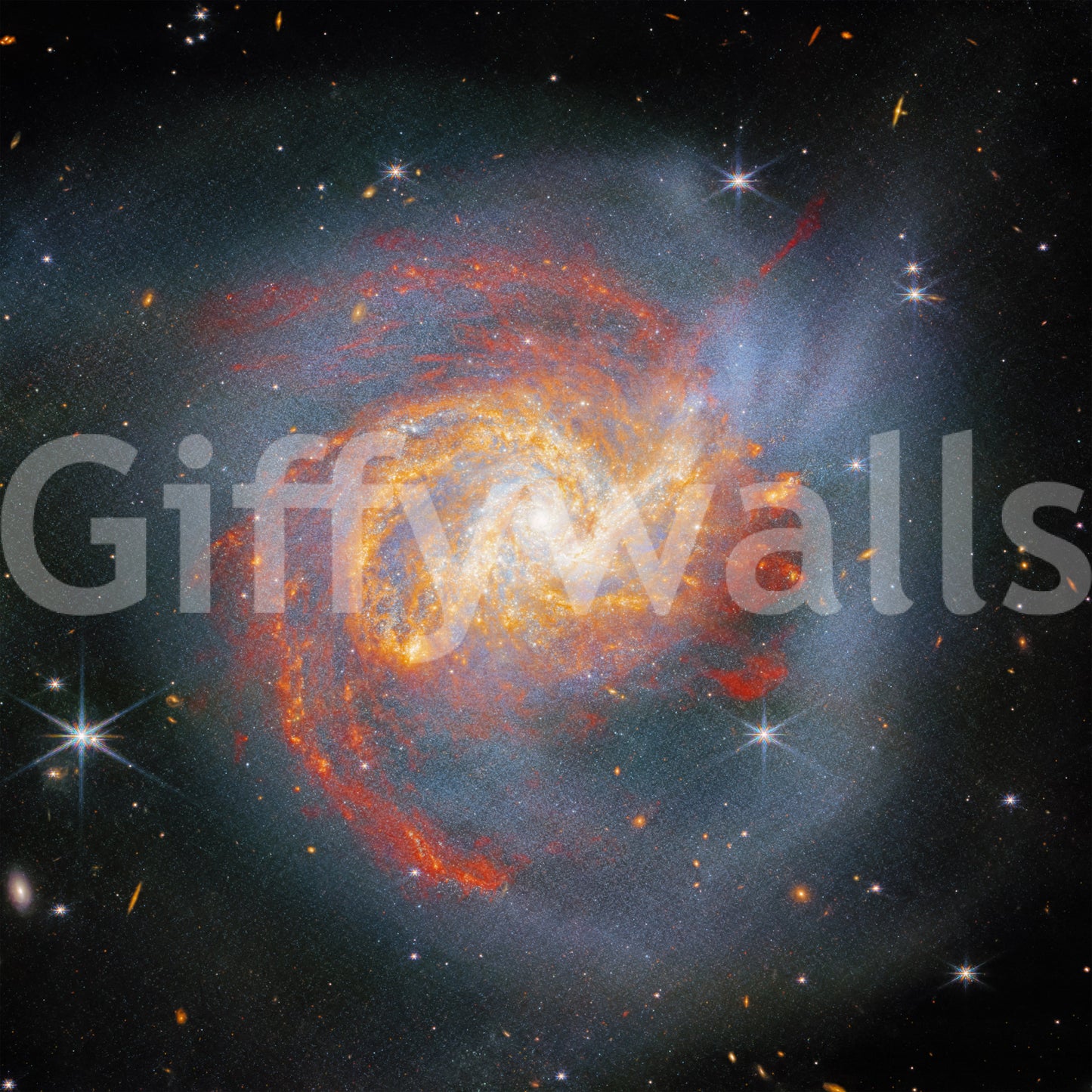 Stellar Canvas Wandbild