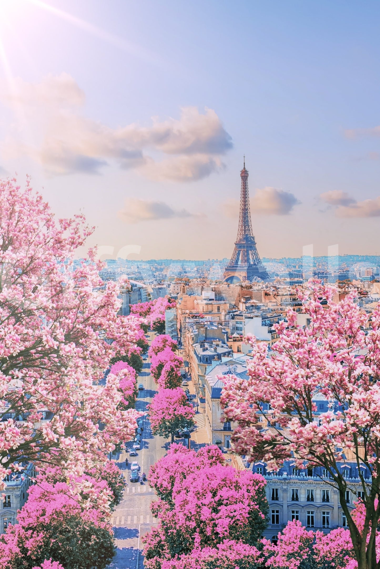 Parisian Spring Wall Mural