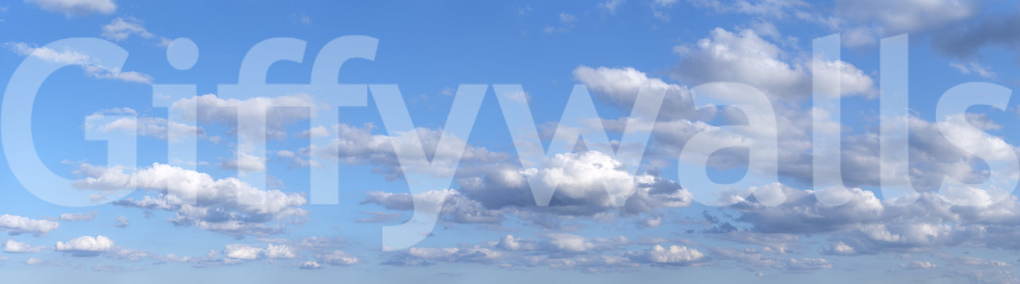 天の広大な抱擁の壁画