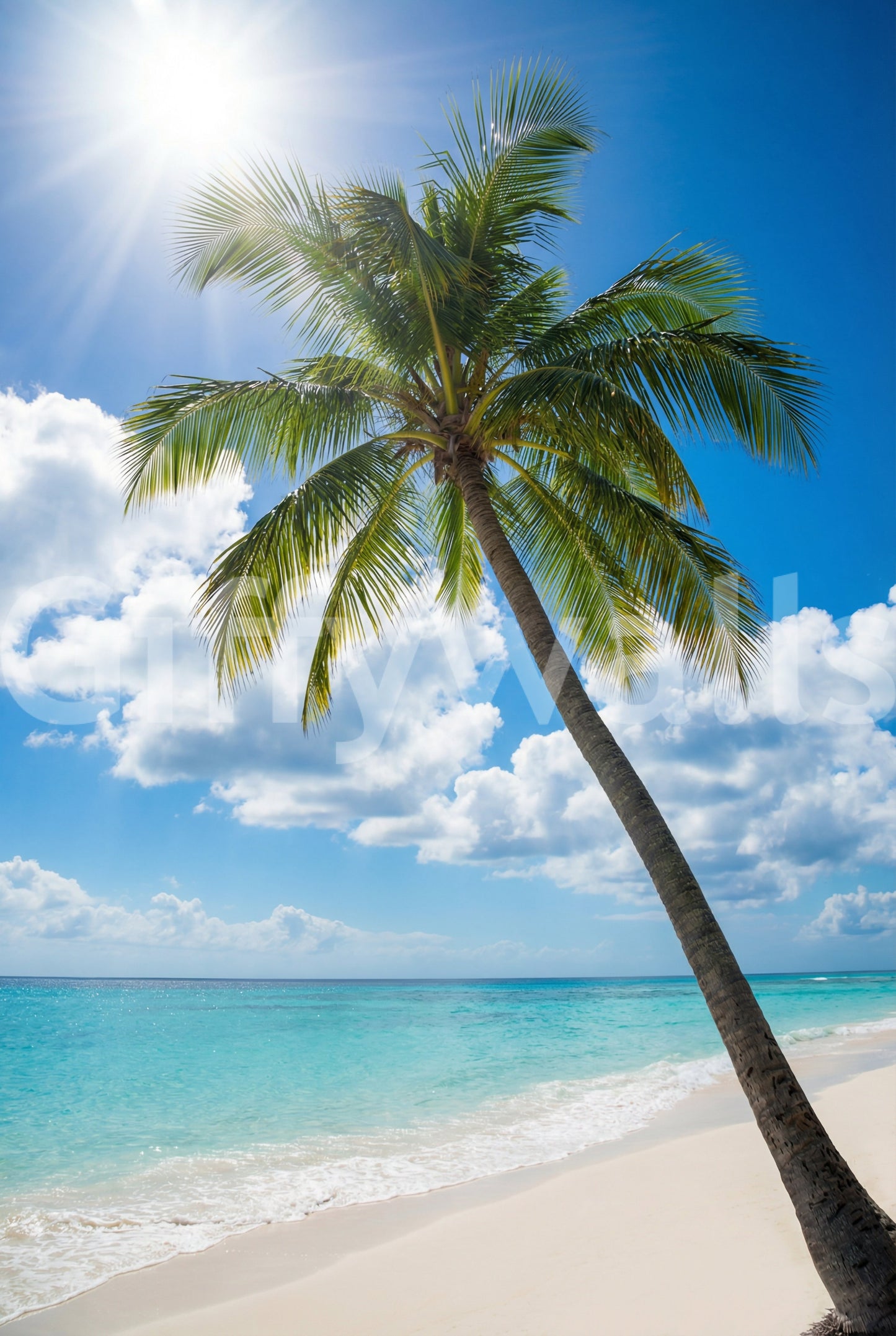 Fotomurale con palme baciate dal sole