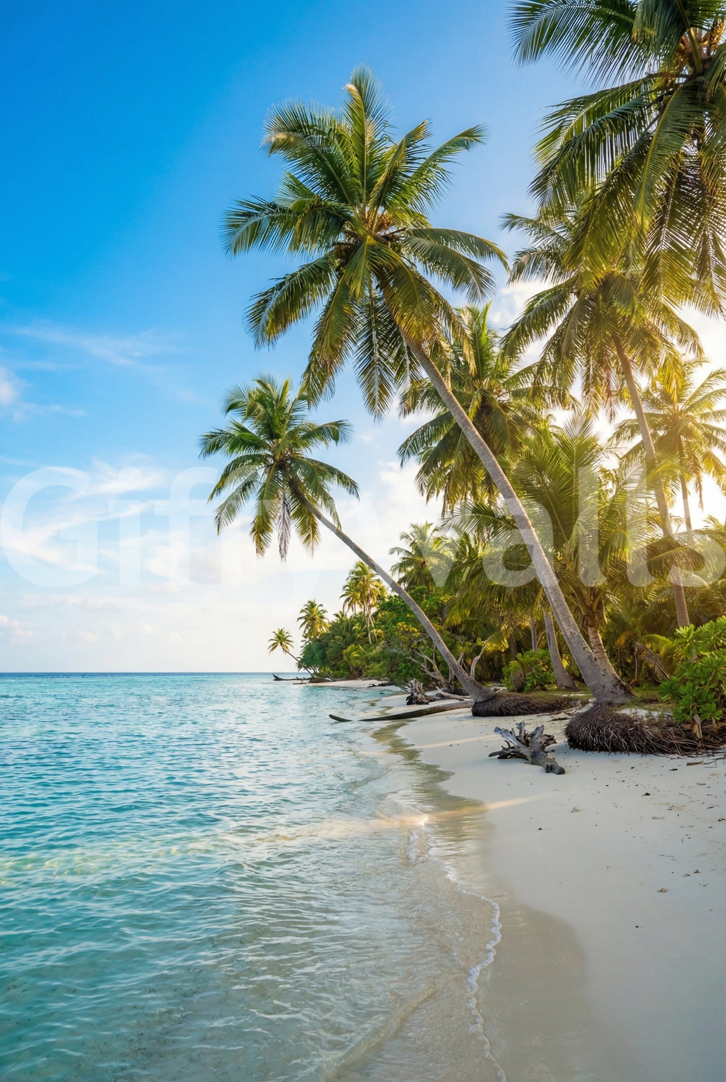 Palm Paradise Walls veggmaleri