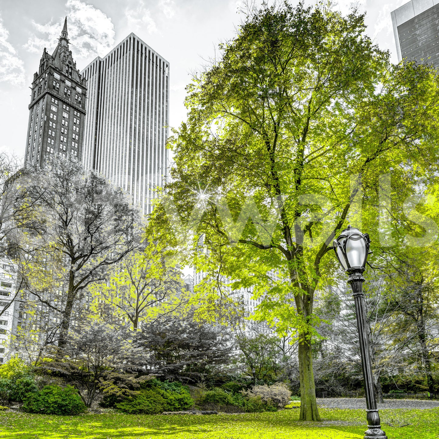 エメラルドメトロポリスの壁画