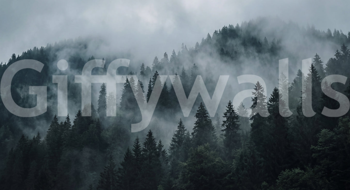 Fresque murale Ascension en forêt brumeuse