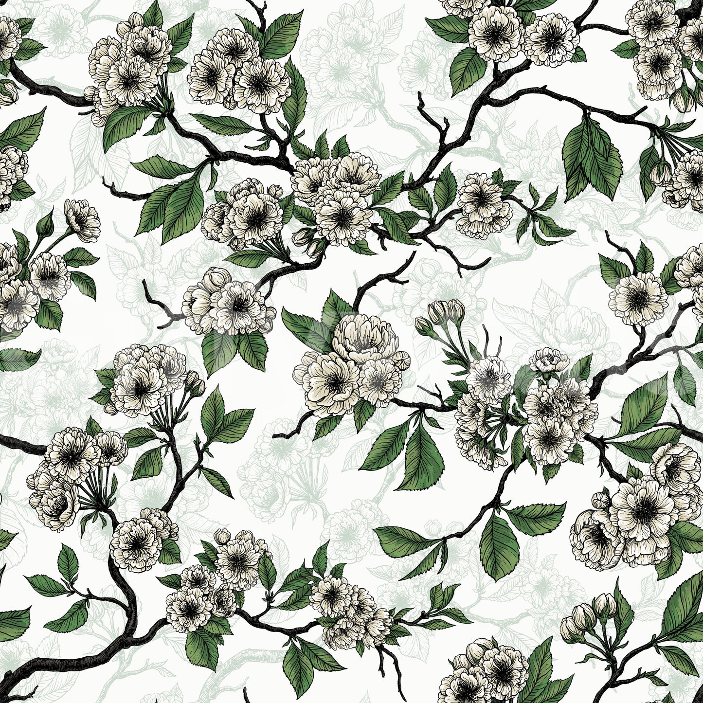 Cherry Blossom on White wallpaper with dark branches and soft blooms