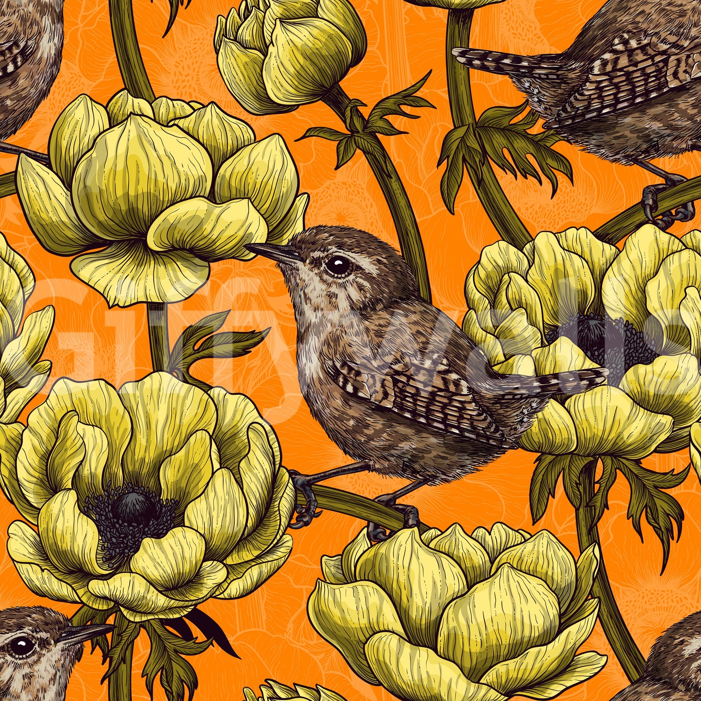 Wrens in the Yellow Anemone Garden wallpaper with yellow flowers