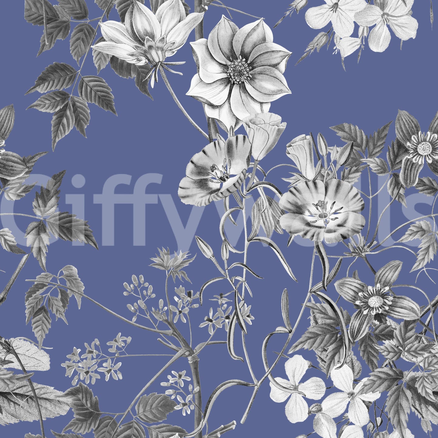 Papier peint Boceto botánico de la vinca