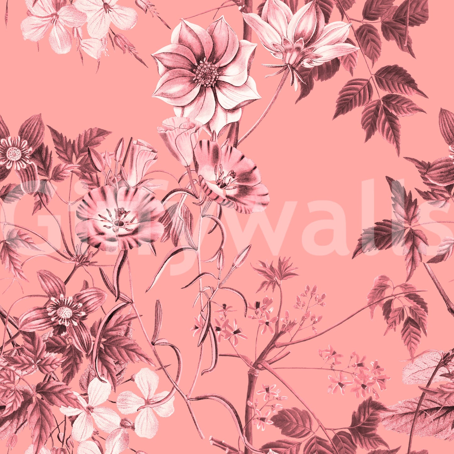 Papier peint Gravures de fleurs rosées