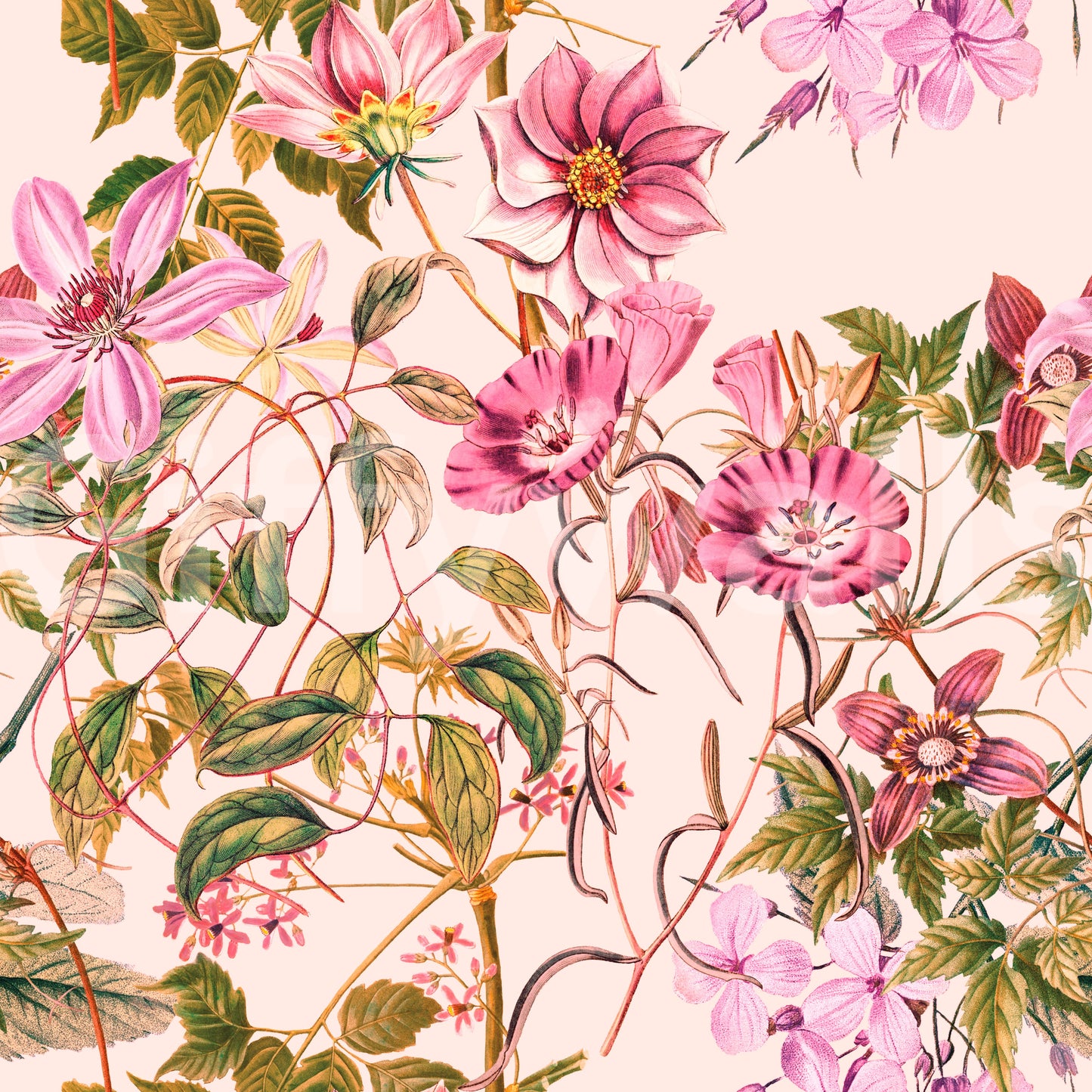 Papier peint Elegancia en flor