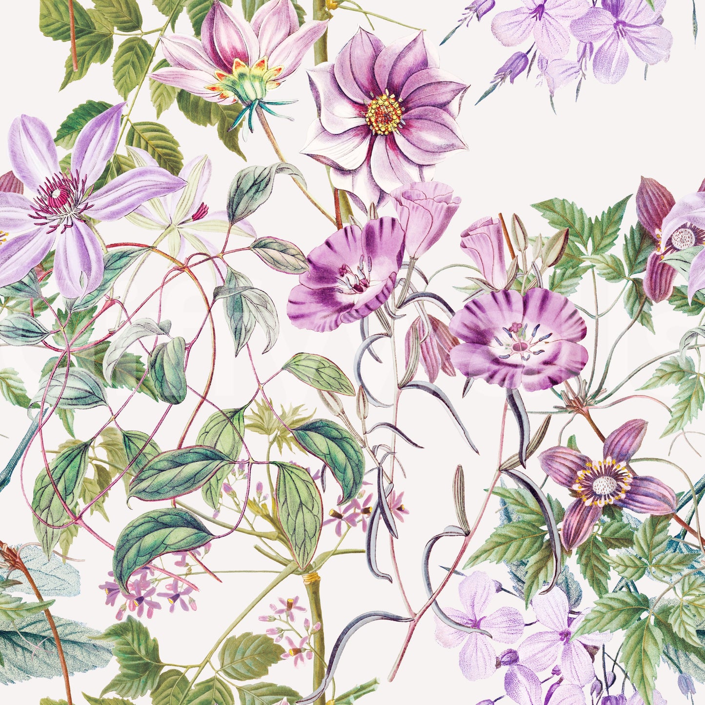 Papier peint Cascada de floración intemporel