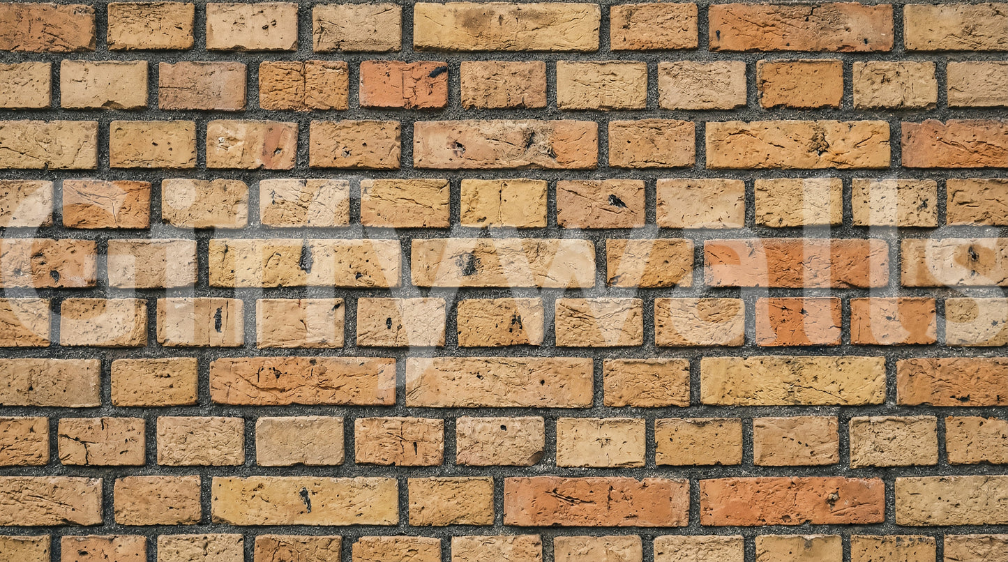 Murale da parete con motivo mattoni senza tempo