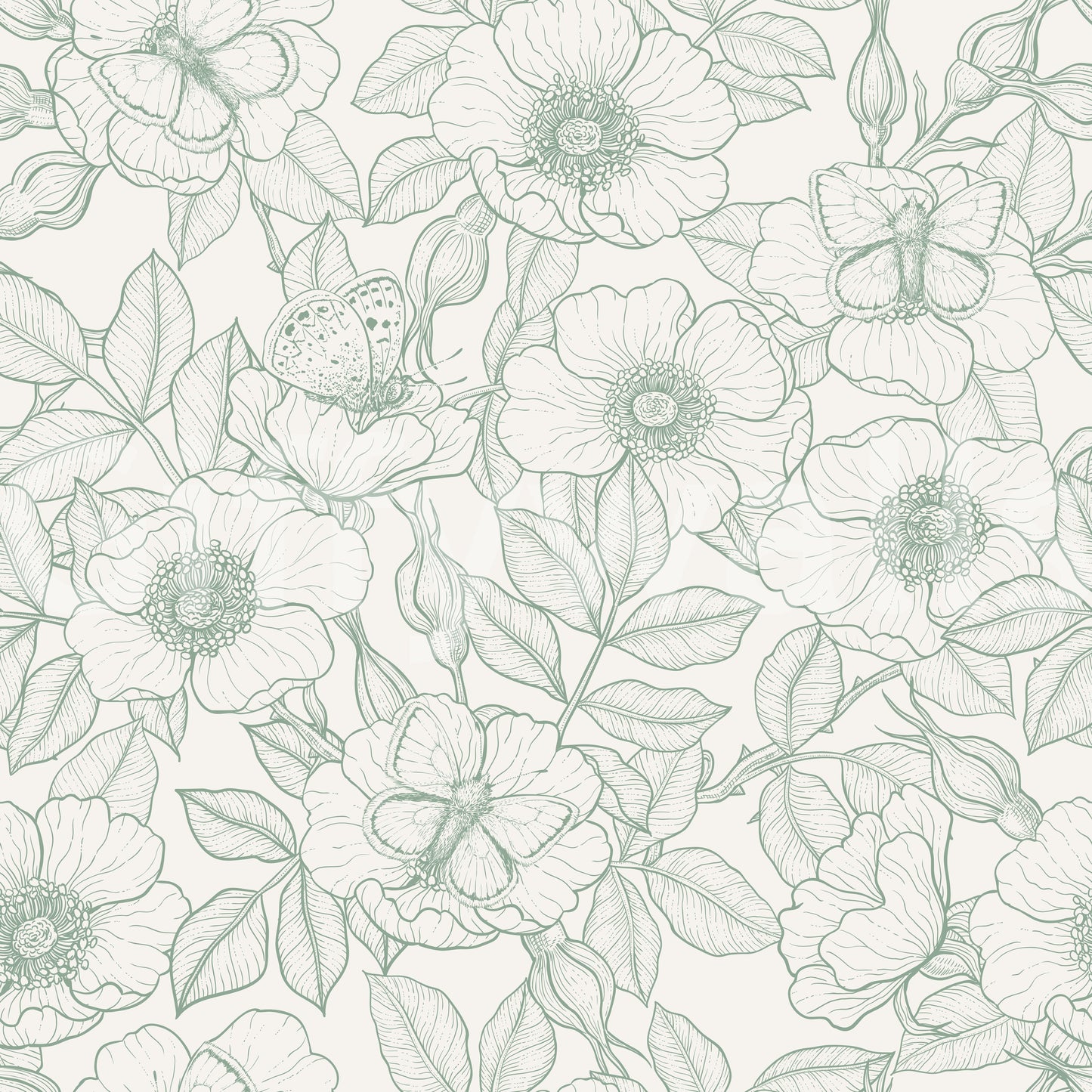 Hundsrose und Schmetterlinge/Sanfte grüne Linienzeichnung Blumenmuster auf Off-White Tapete