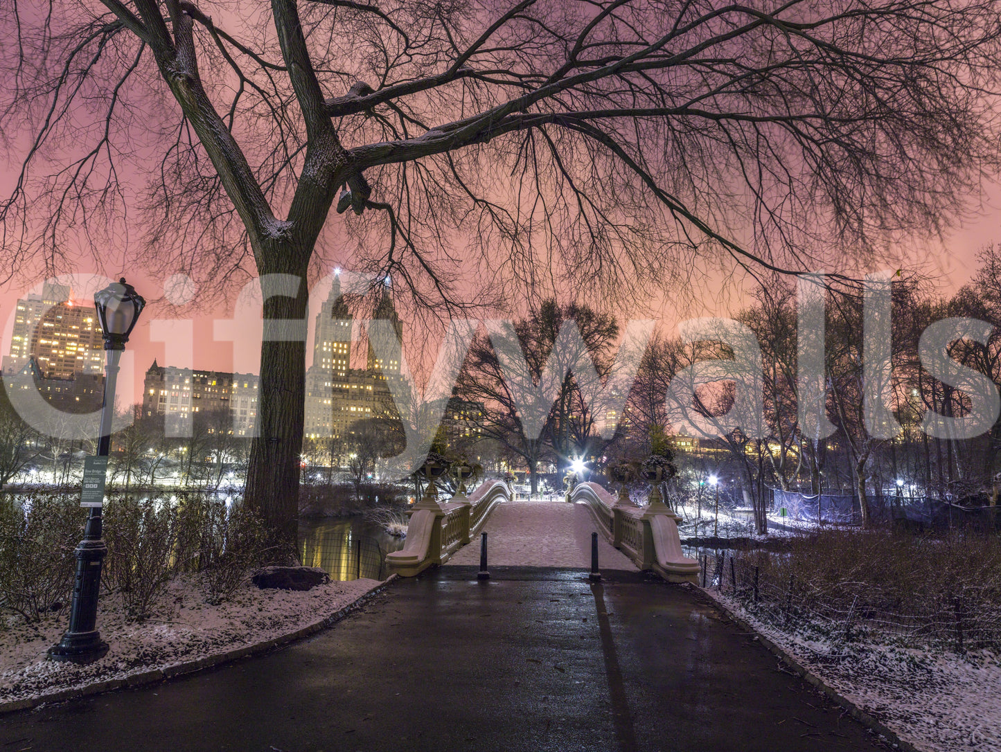 Tapet mural Central Park în amurg de iarnă