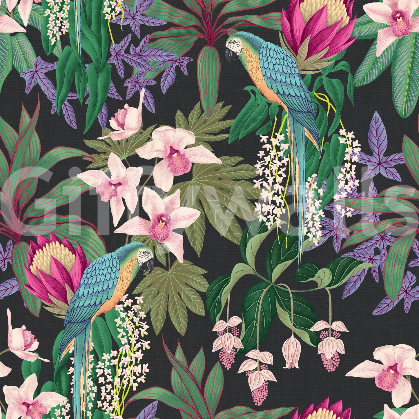 Papel pintado de guacamayo tropical y flor de orquídea