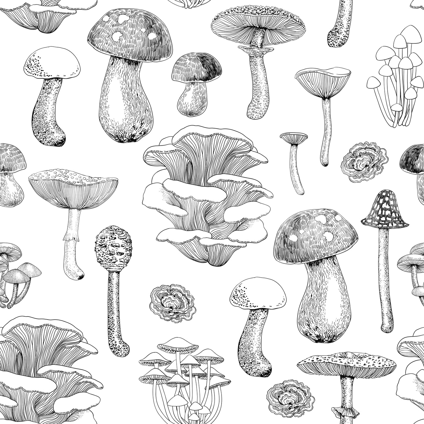 Wild Mushrooms in black and white Wallpaper
