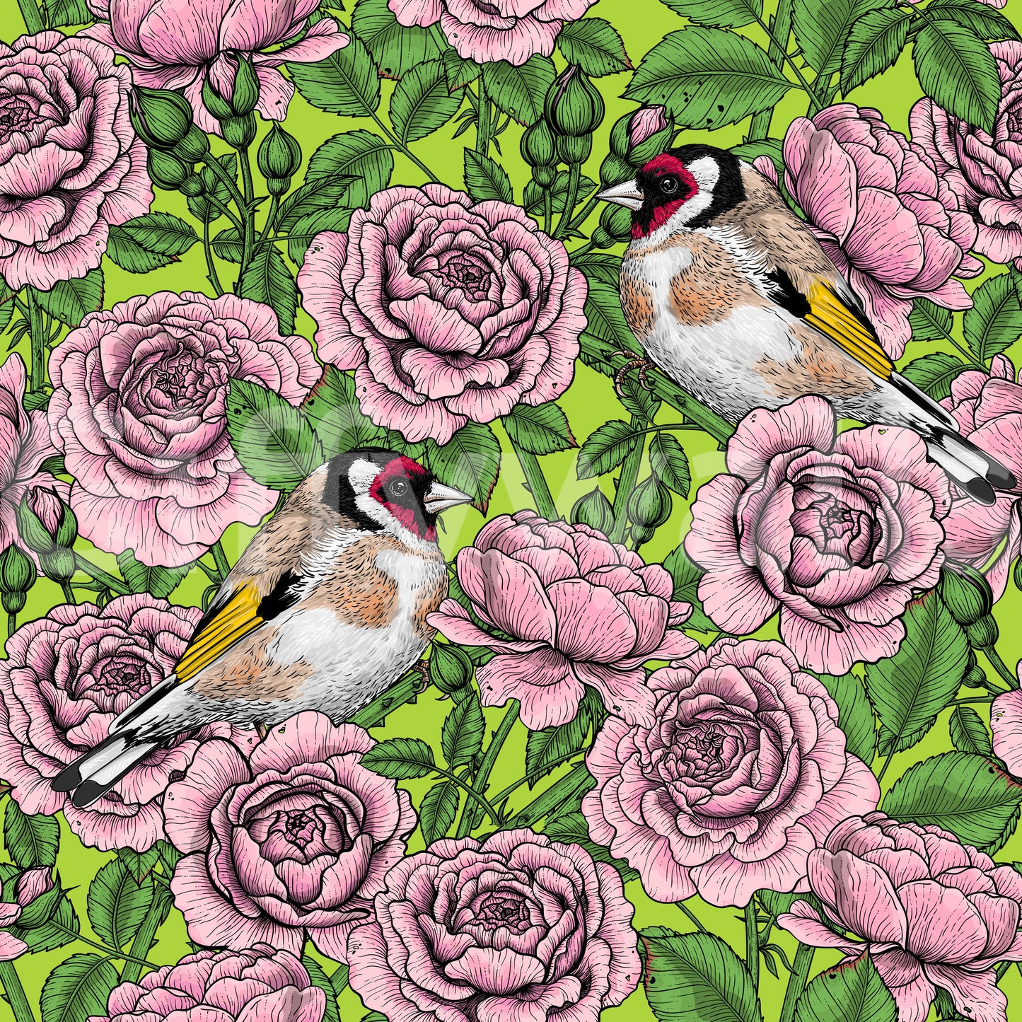 Papier peint Goldfinch & Rose Garden Delight