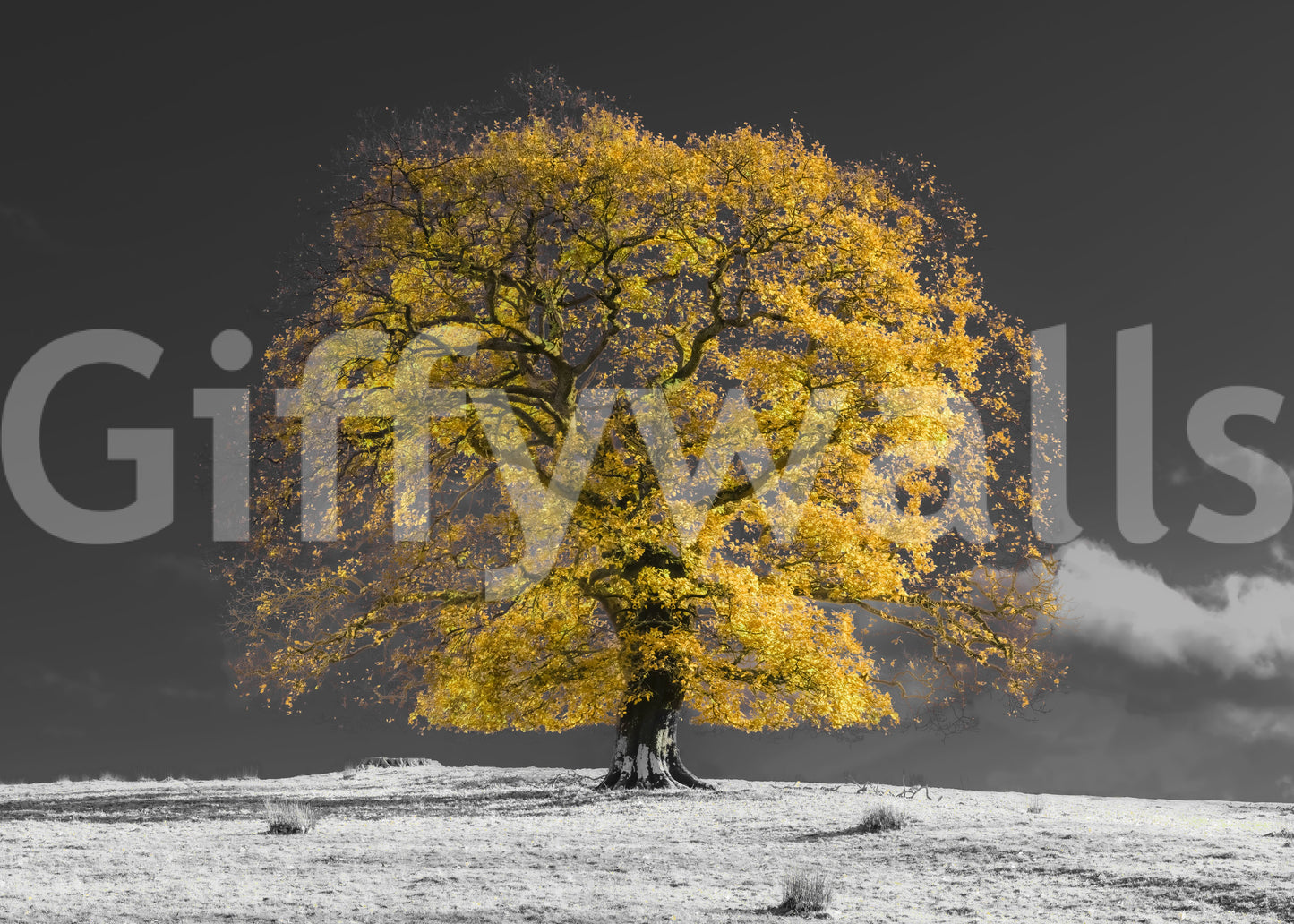 Pictură murală Golden Solitude pentru perete
