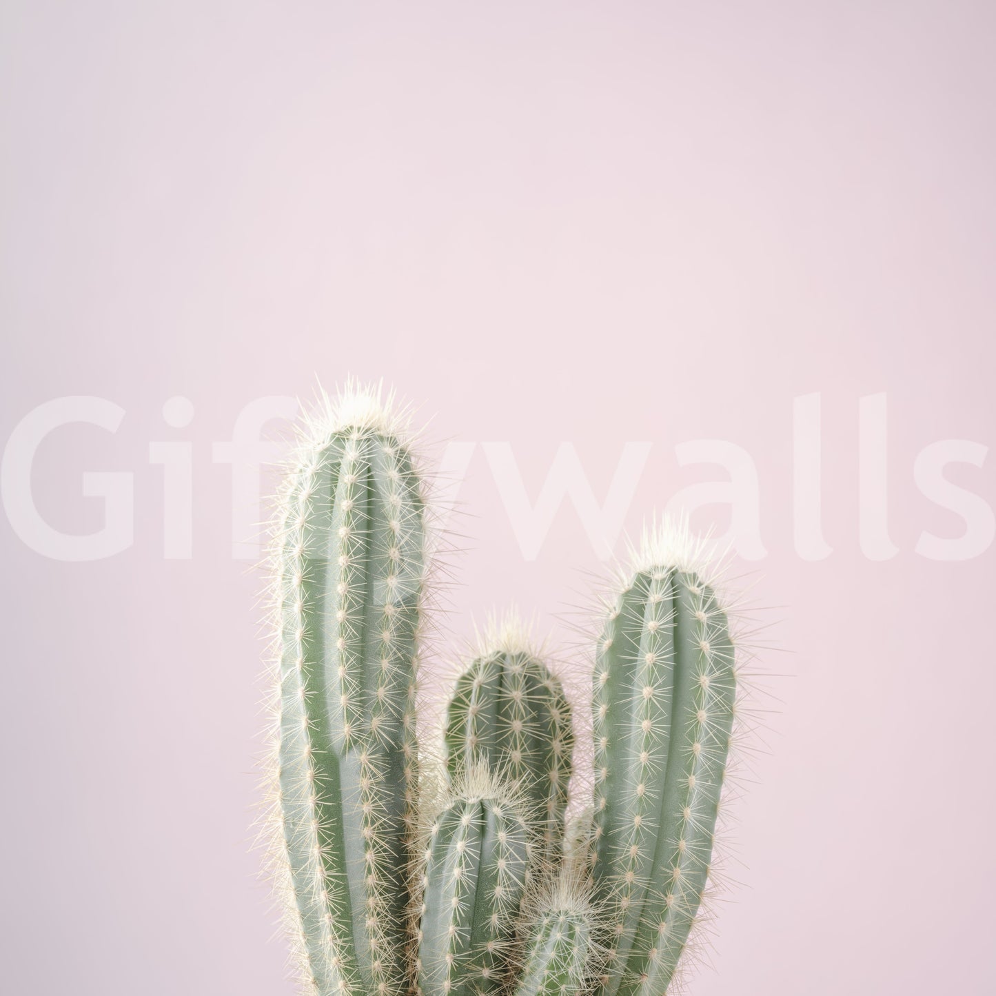 Blush Desert Spire Wall Mural