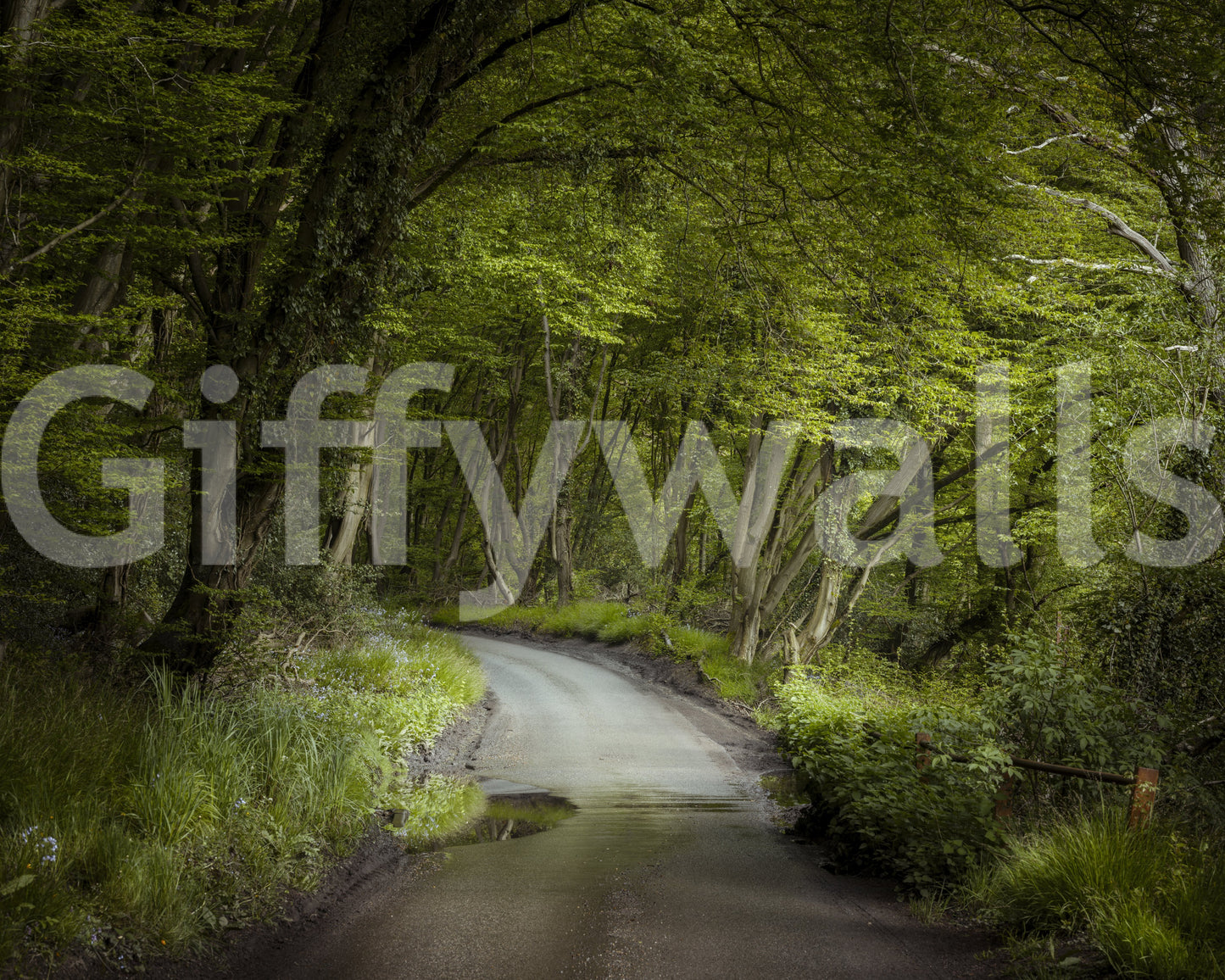 Enchanted Forest Pathway Wall Mural