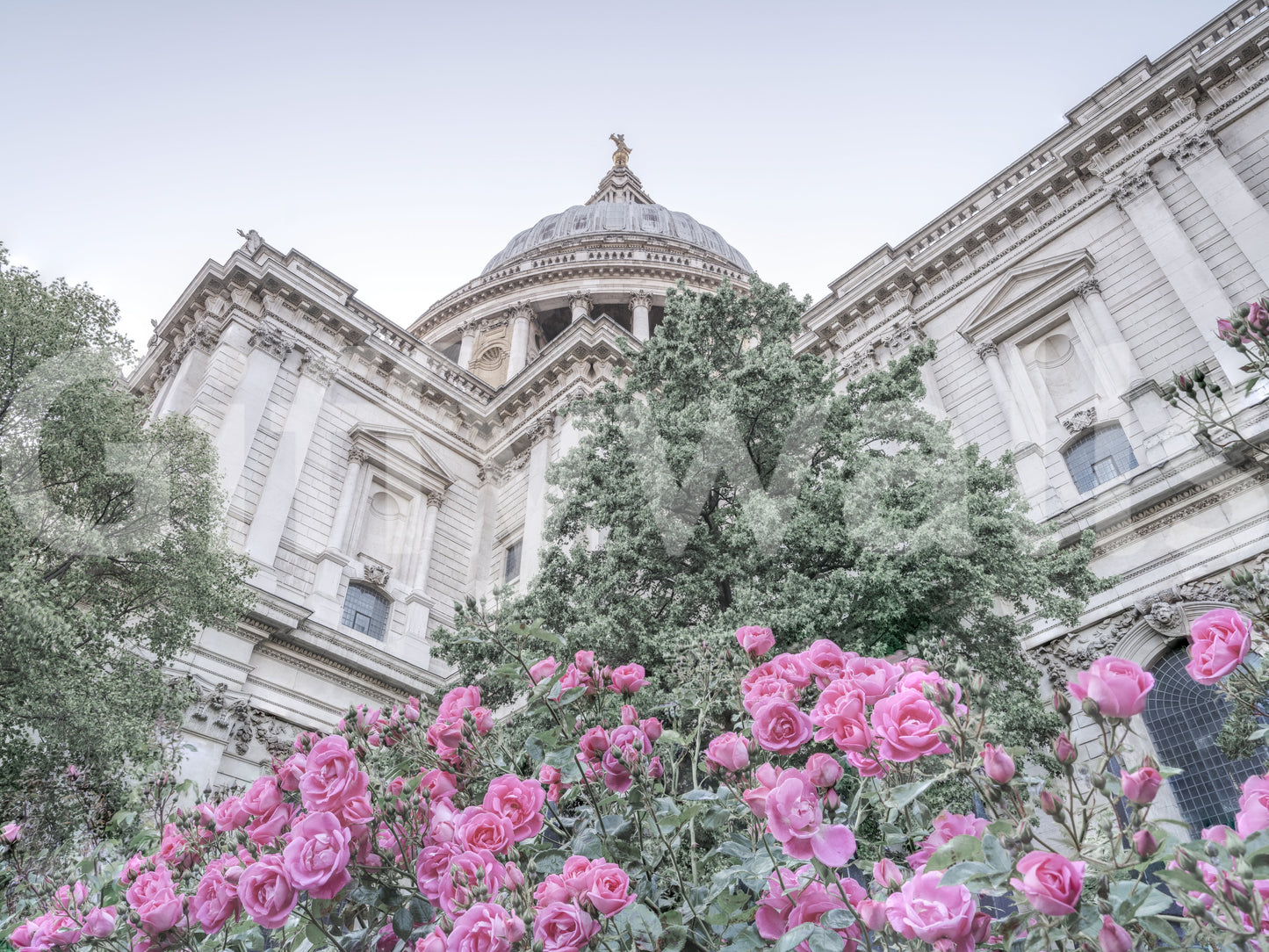 St. Pauls rosenhave udsigt vægmaleri