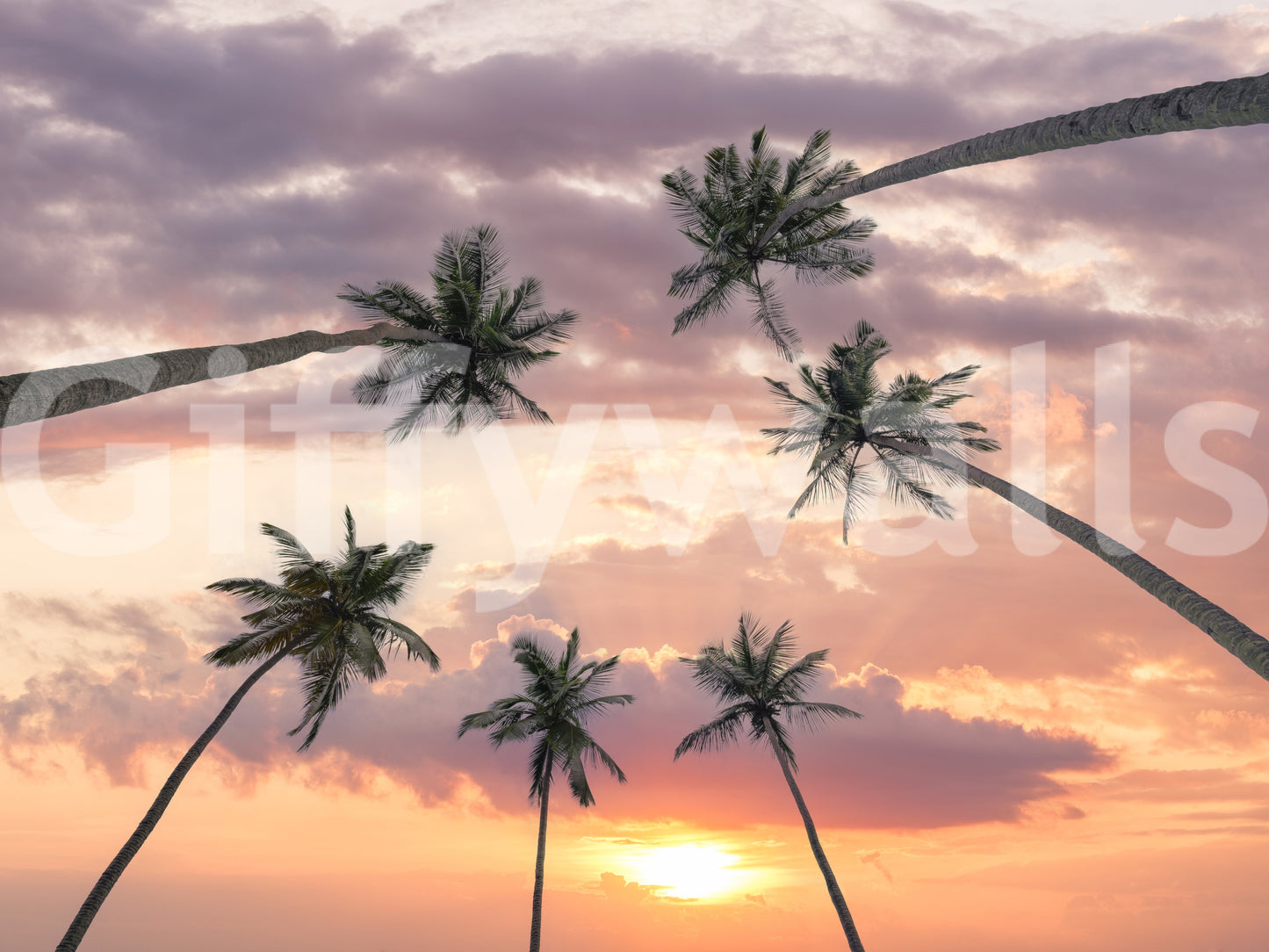 Sunset Palm Canopy Wall Mural