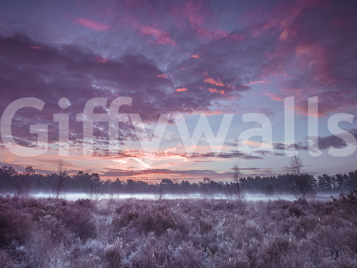 Violet Twilight Frost Meadow Wall Mural