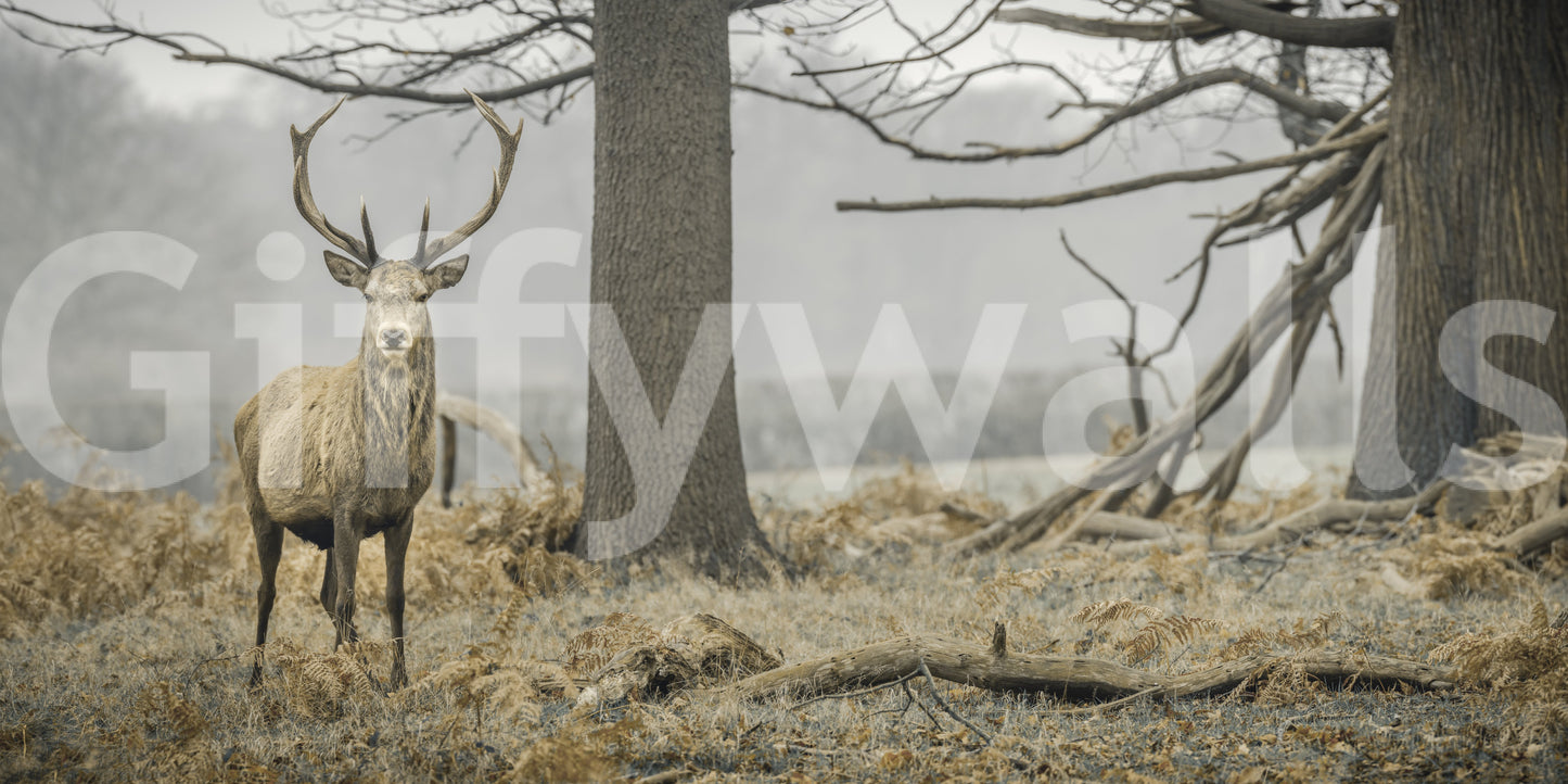Majestätischer Waldhirsch im nebligen Wald Wandbild